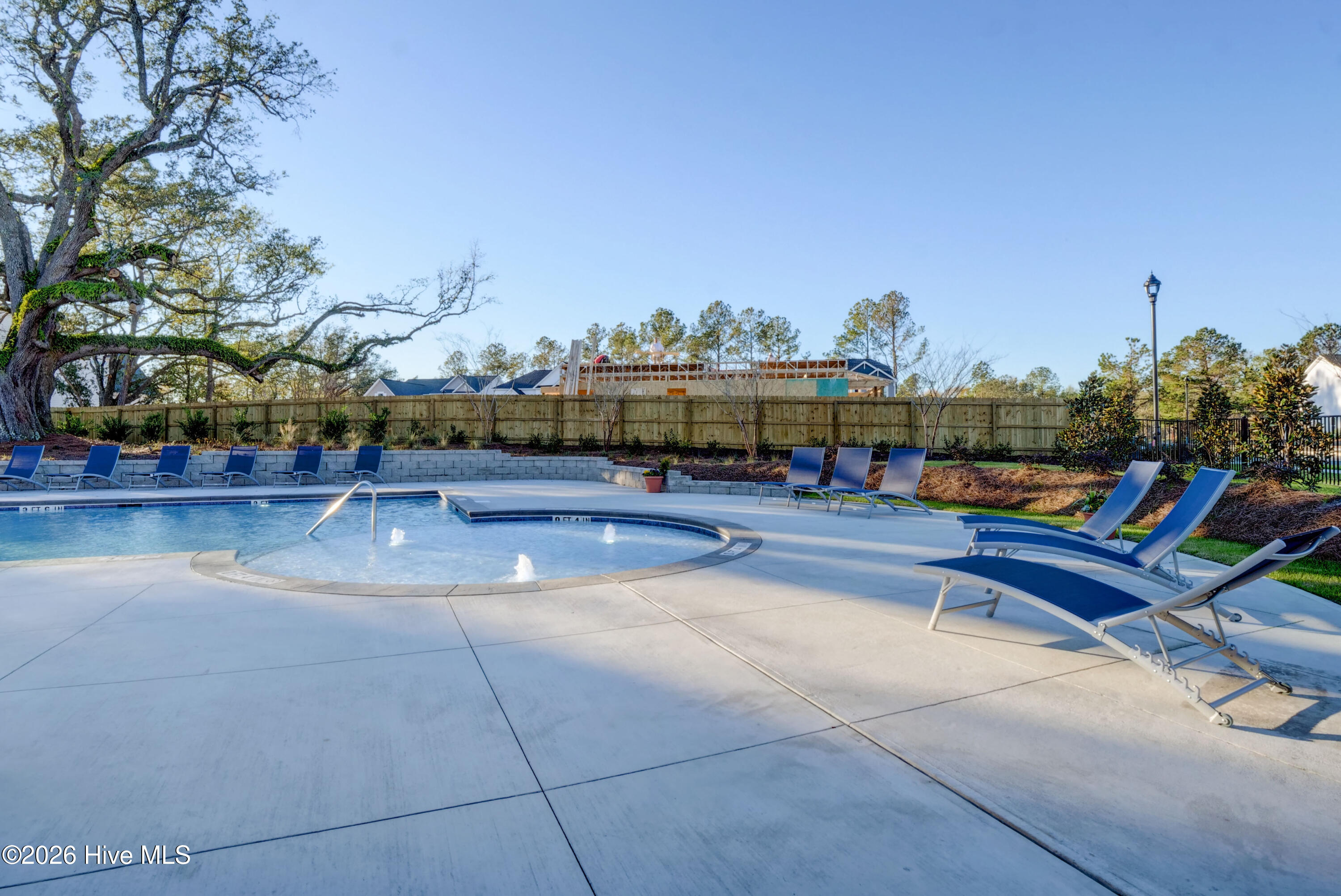 100567607 | Photo 65