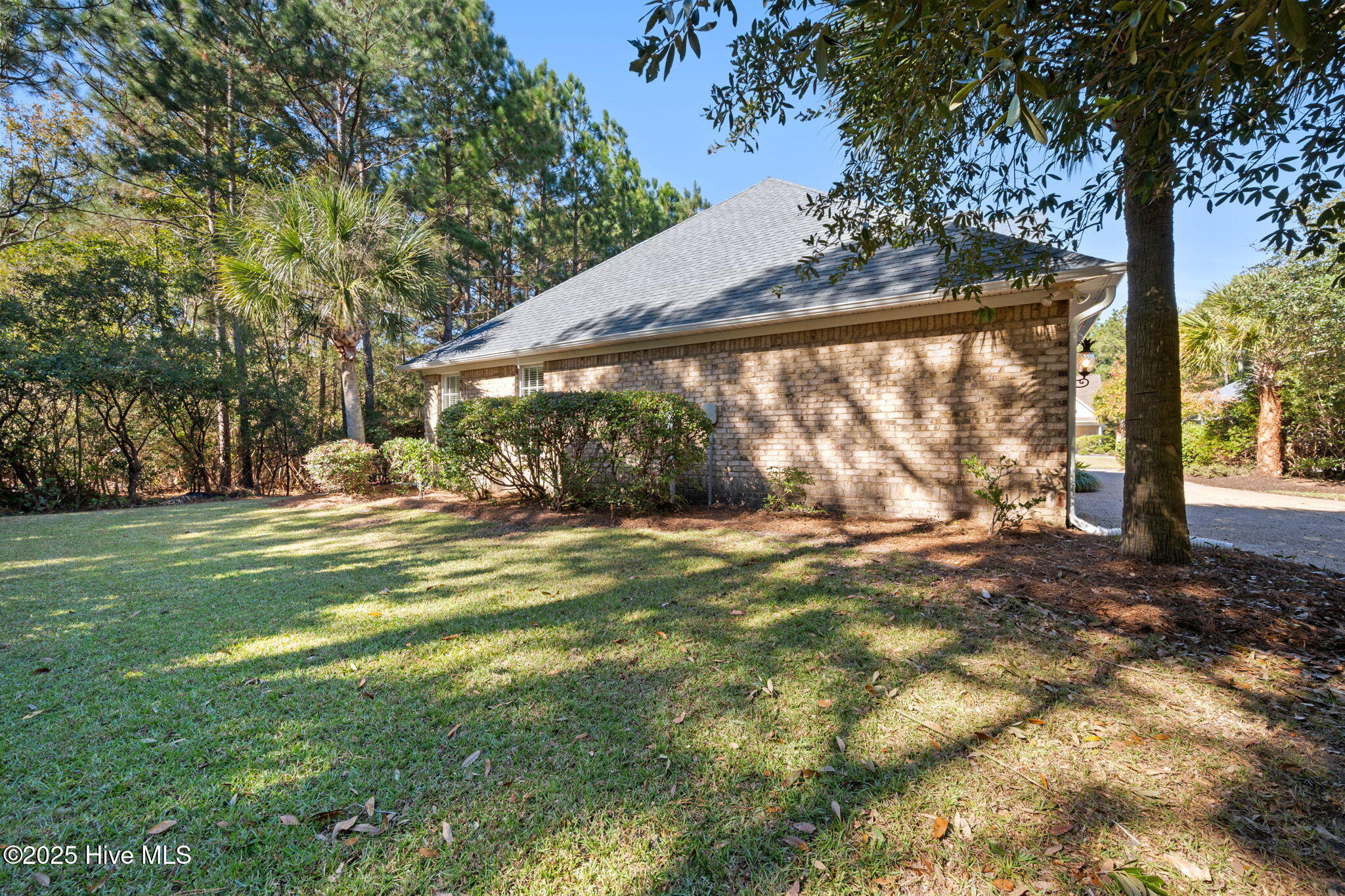 100538167 | Photo 37