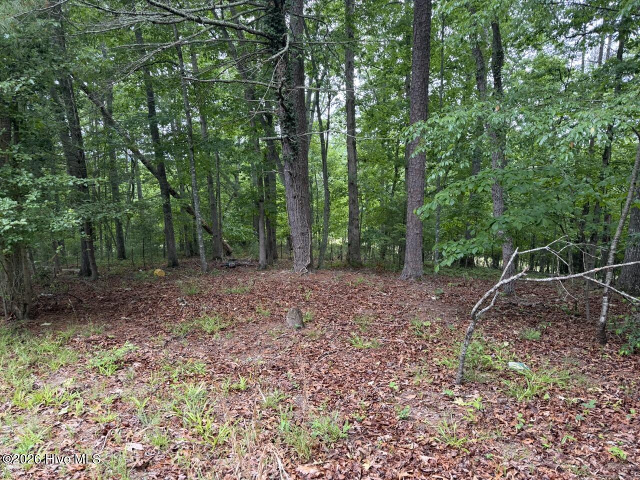 274 Snow Hill Ridge Road