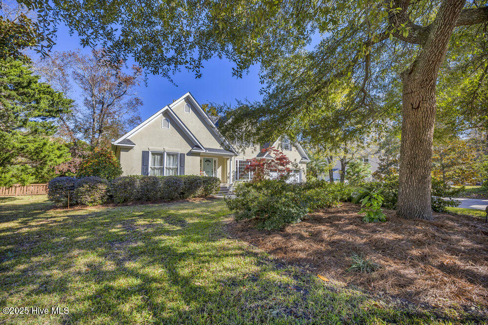 100541424 | Photo 35