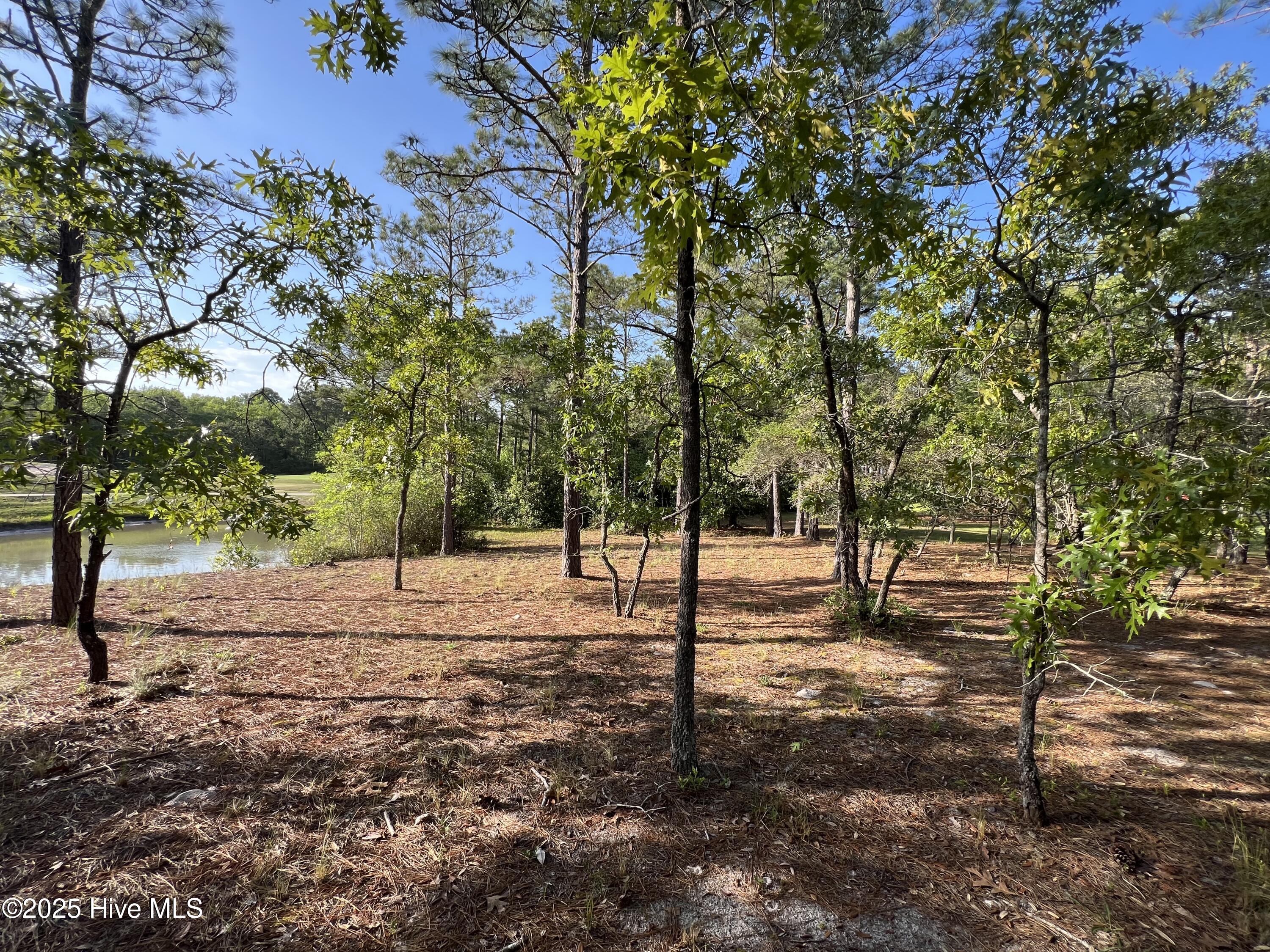 100506027 | Photo 32