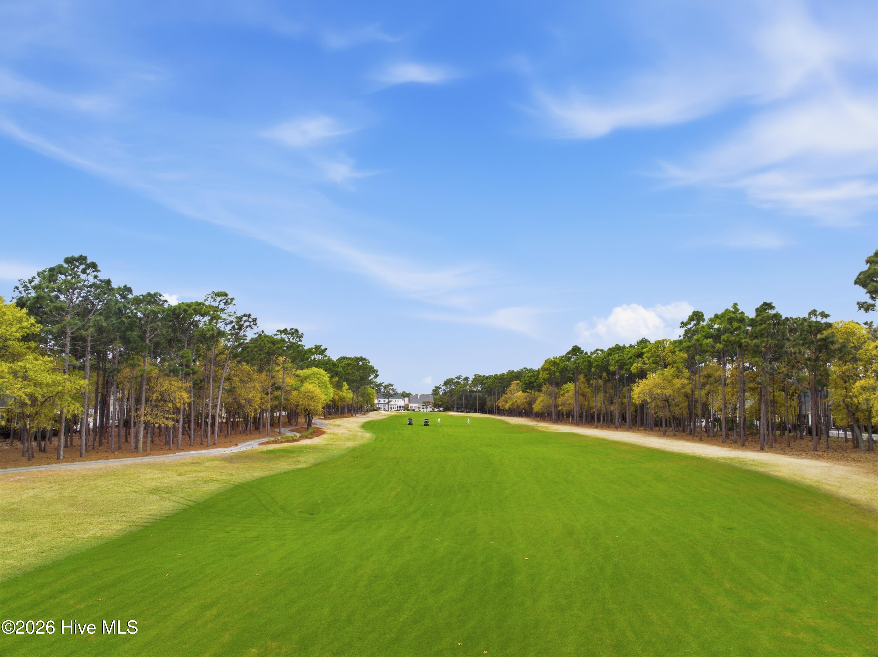 100564679 | Photo 78