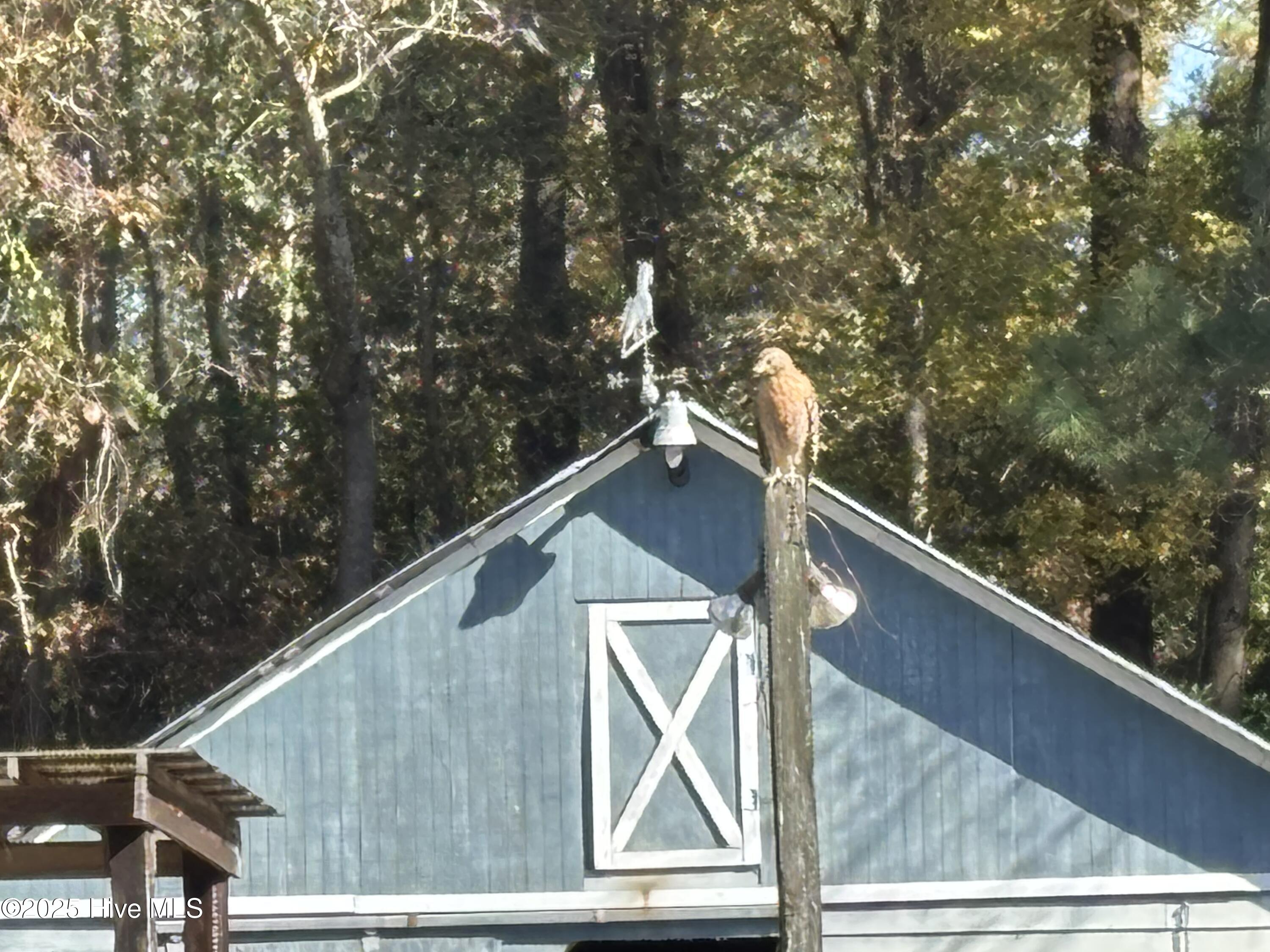 100542459 | Photo 39