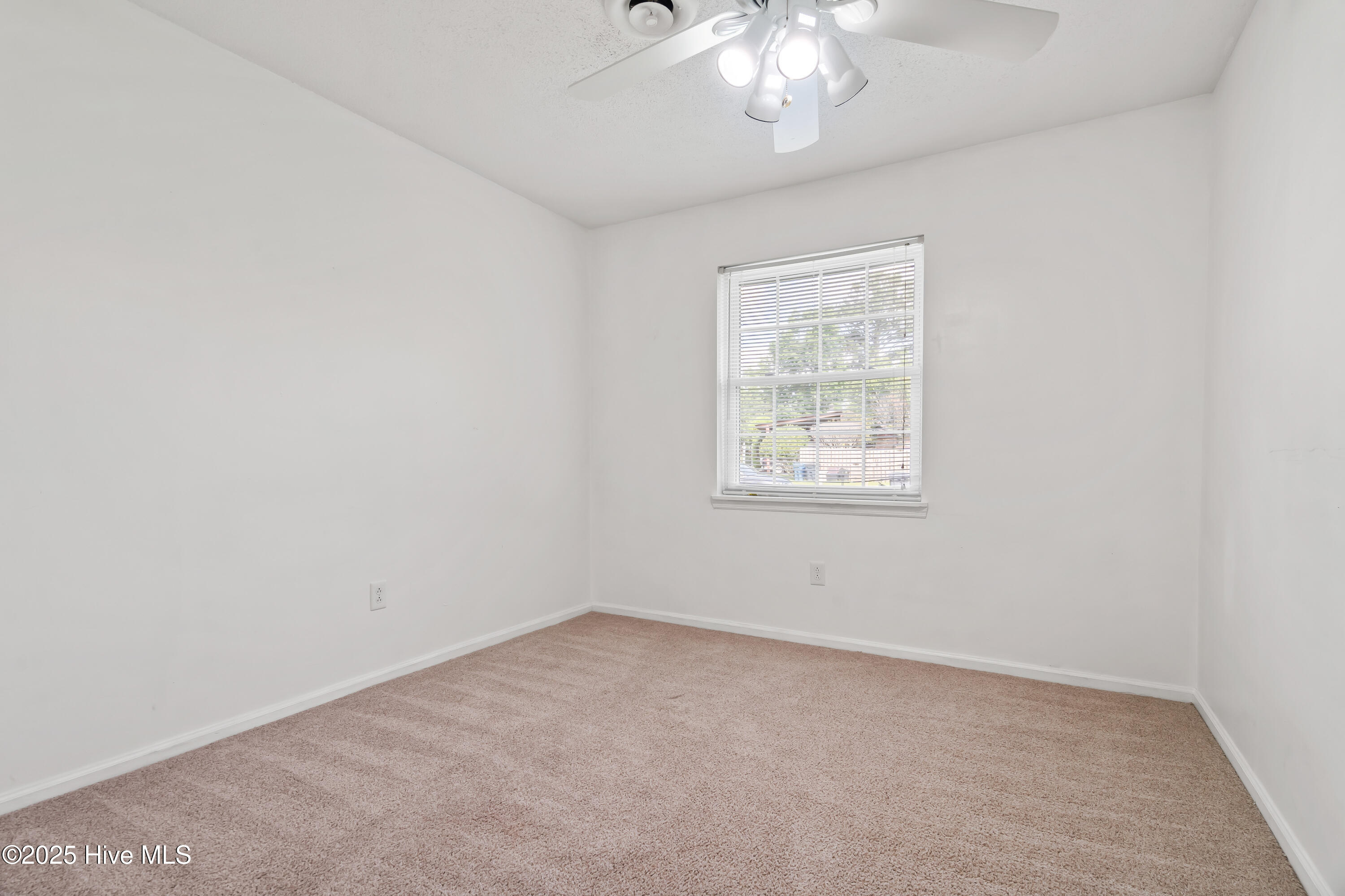 100566648 | Photo 19