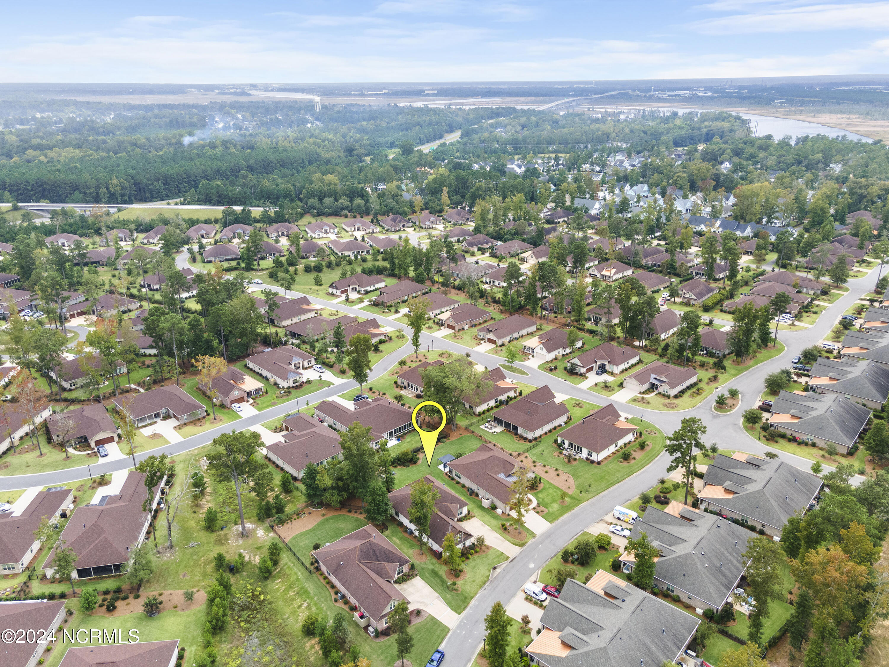 100554009 | Photo 44