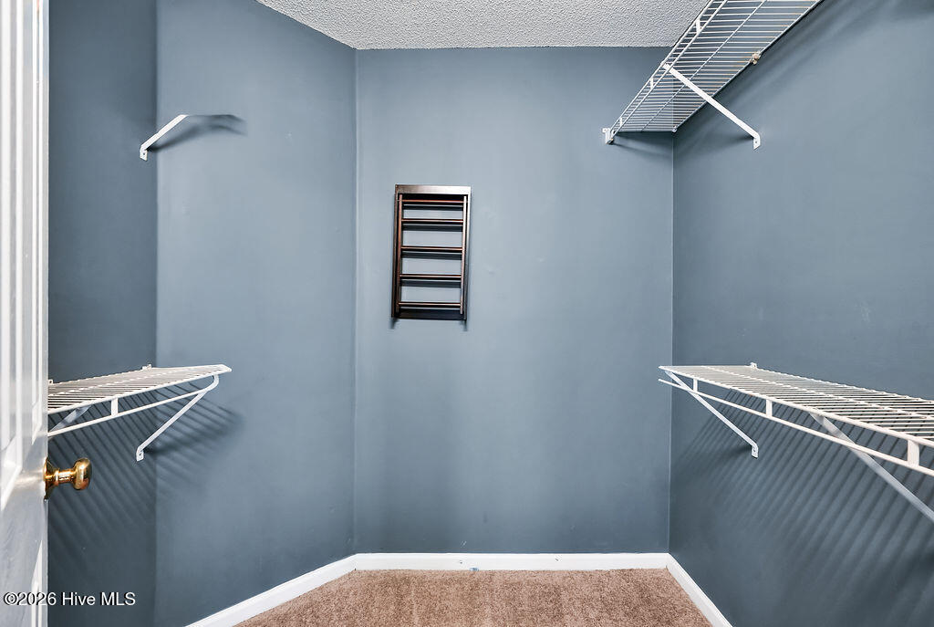 100563606 | Photo 27