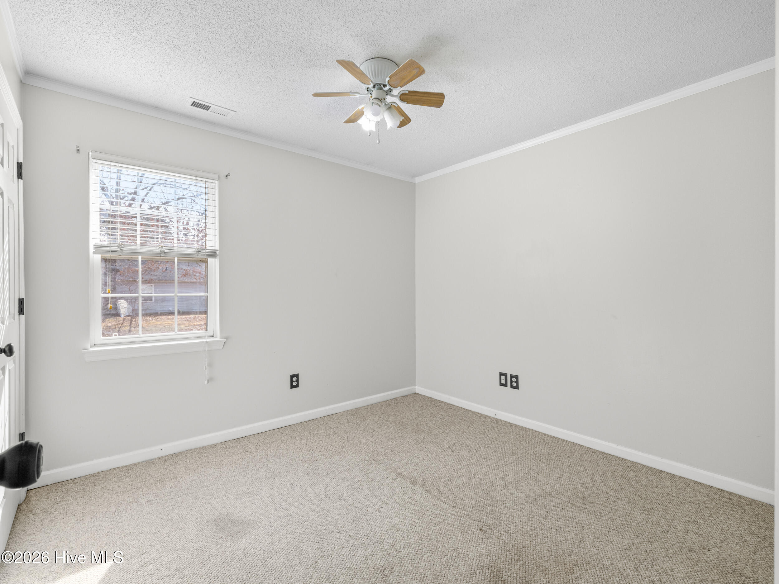 100550311 | Photo 29