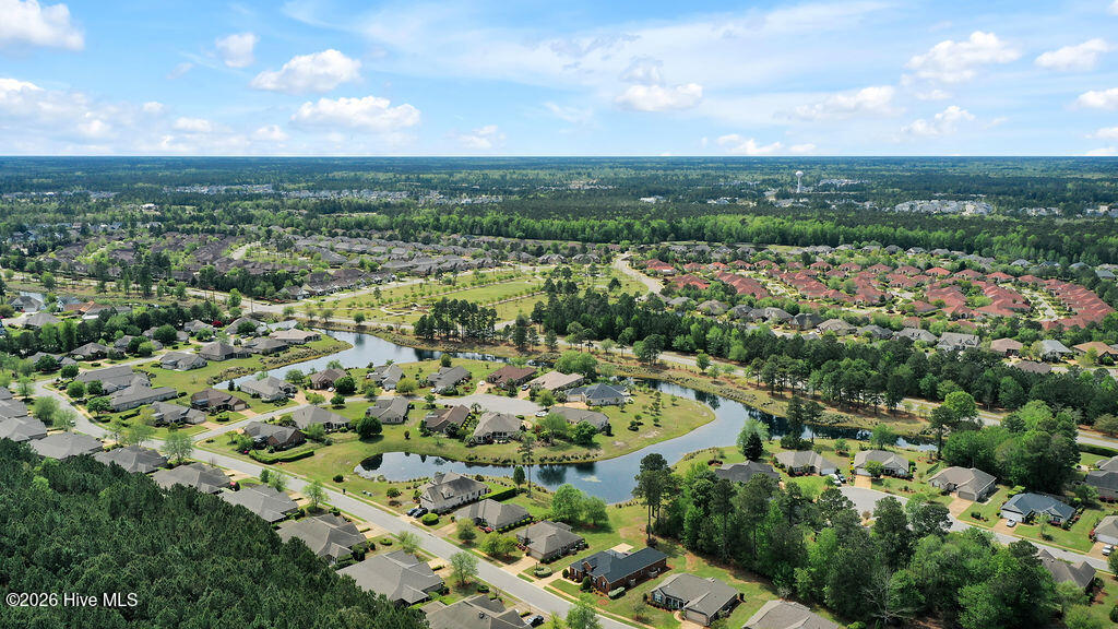 100565145 | Photo 38