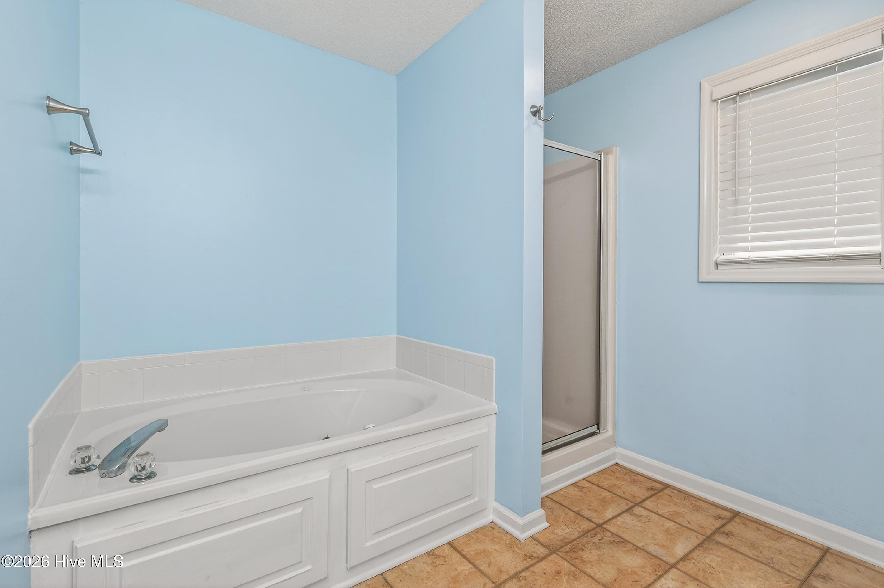 100556738 | Photo 14