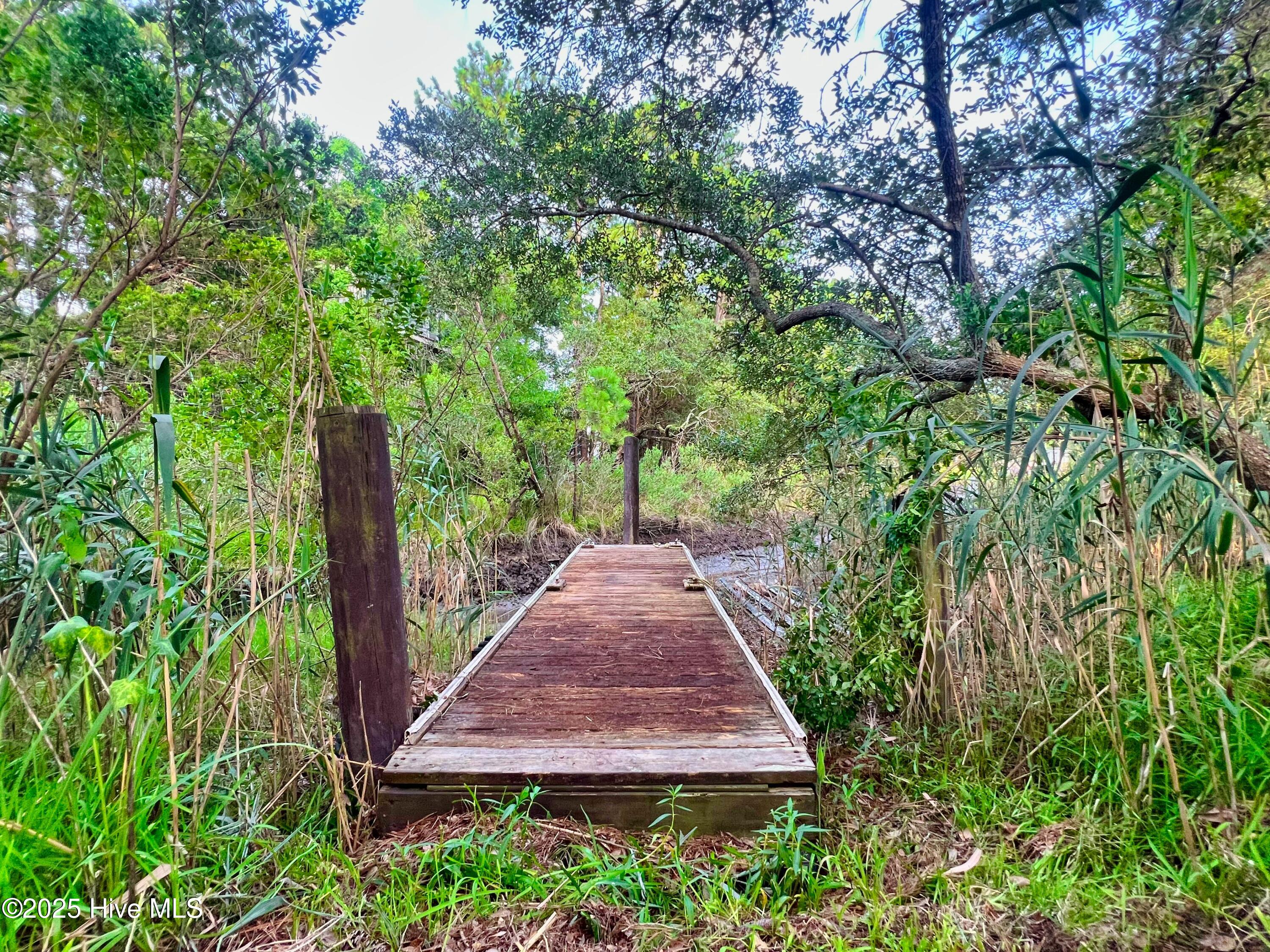 100521049 | Photo 43