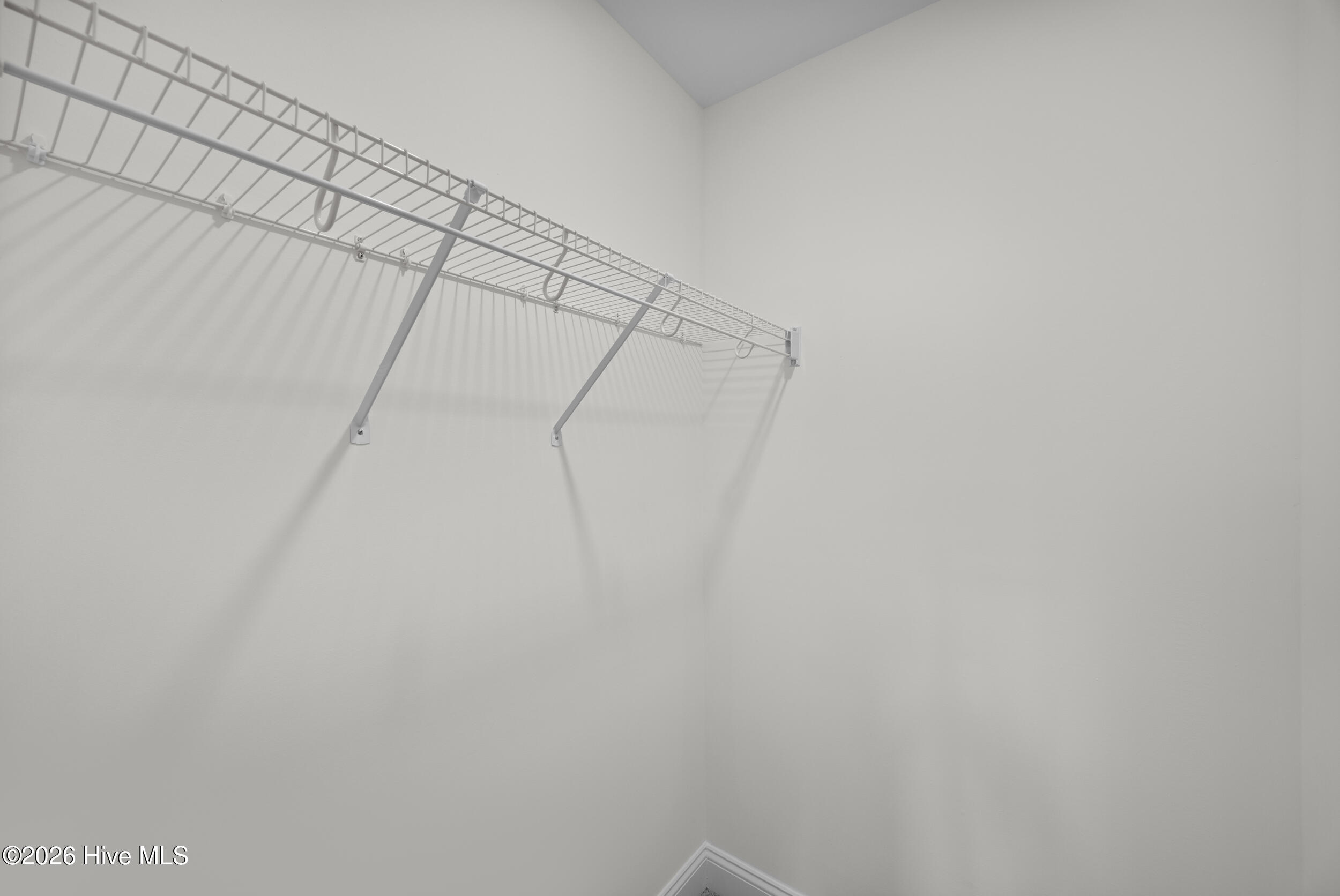 100559295 | Photo 35