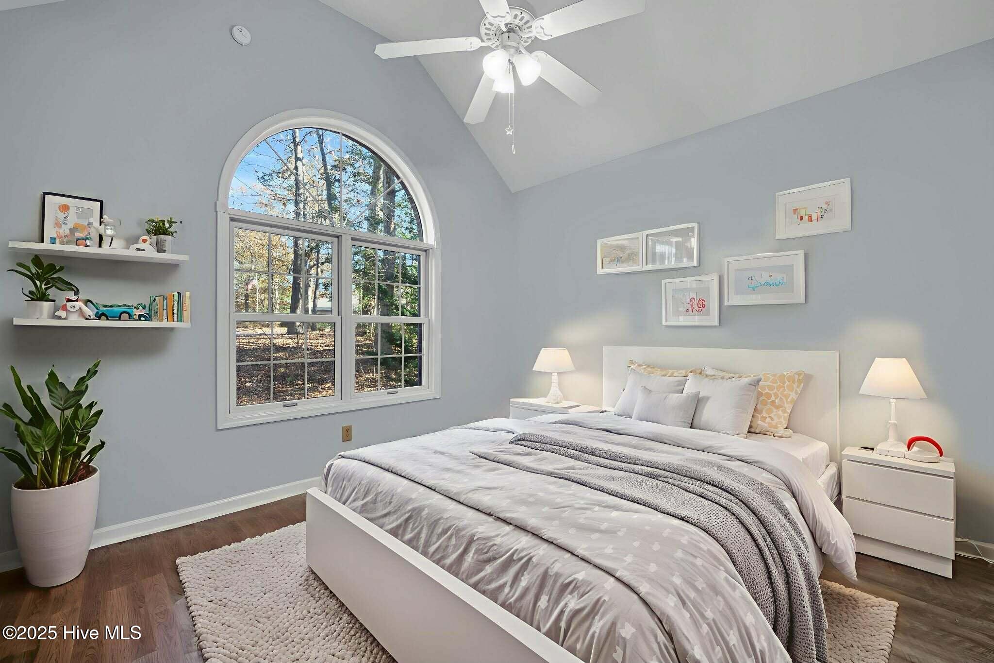 100548382 | Photo 23