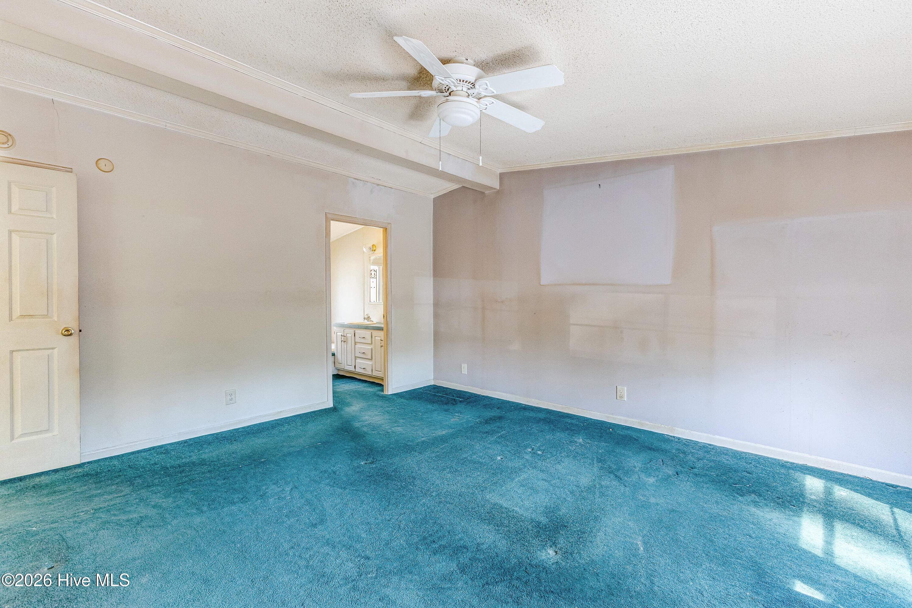 100559404 | Photo 10