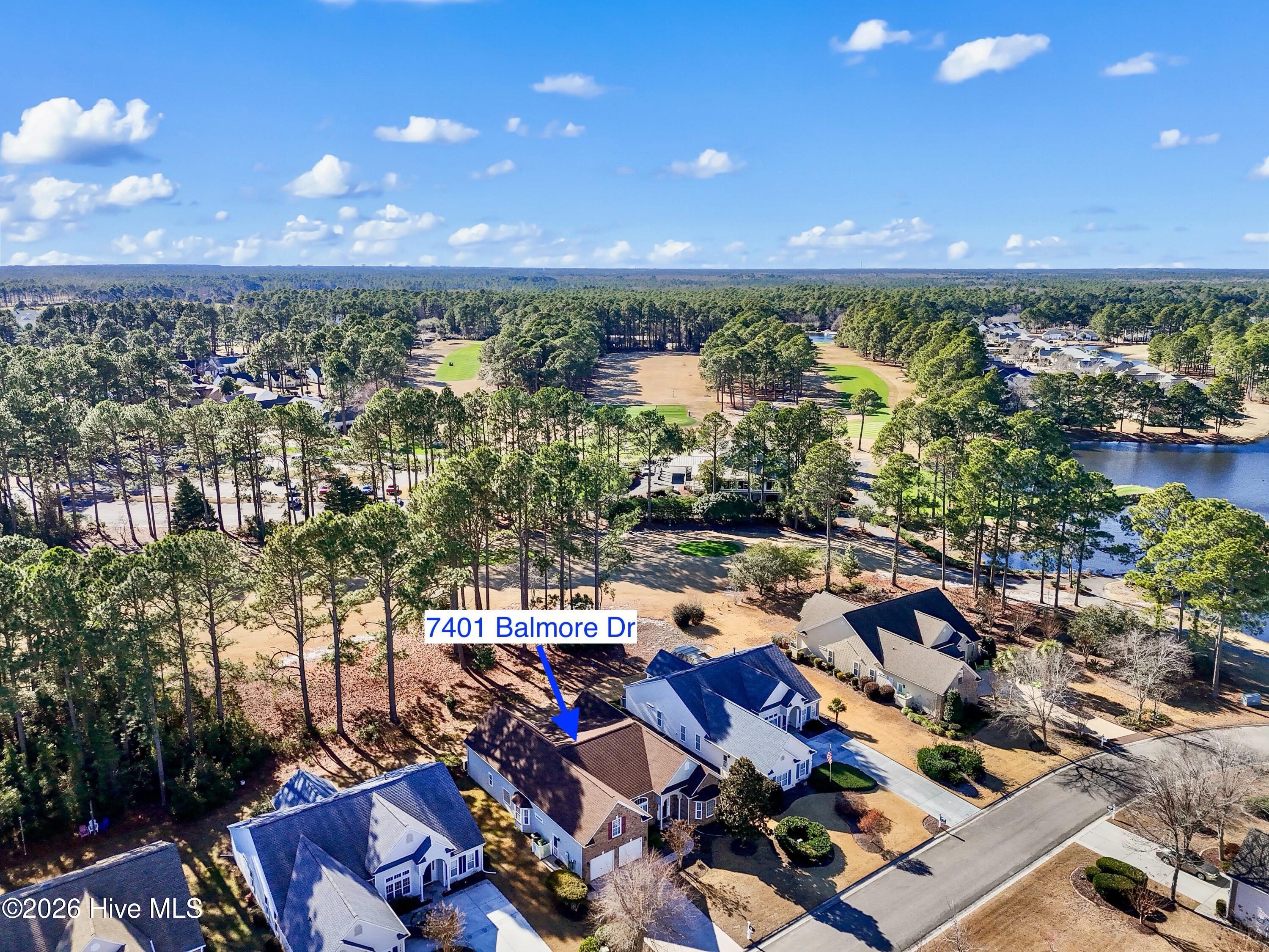 100549811 | Photo 51