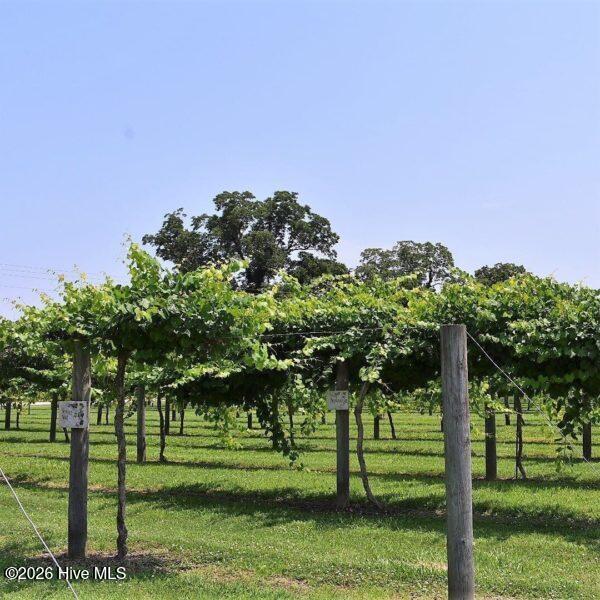 100553381 | Photo 34