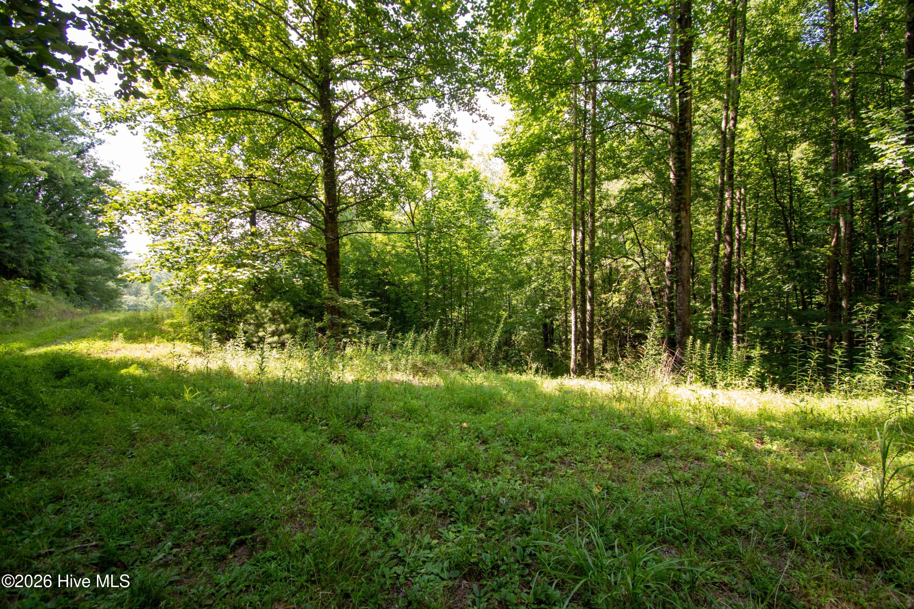 Exterior photo of 189 16 Henry Moss Lane, Marble, NC 28905. MLS: 100588198