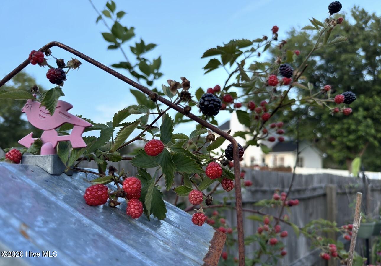 100551352 | Photo 45