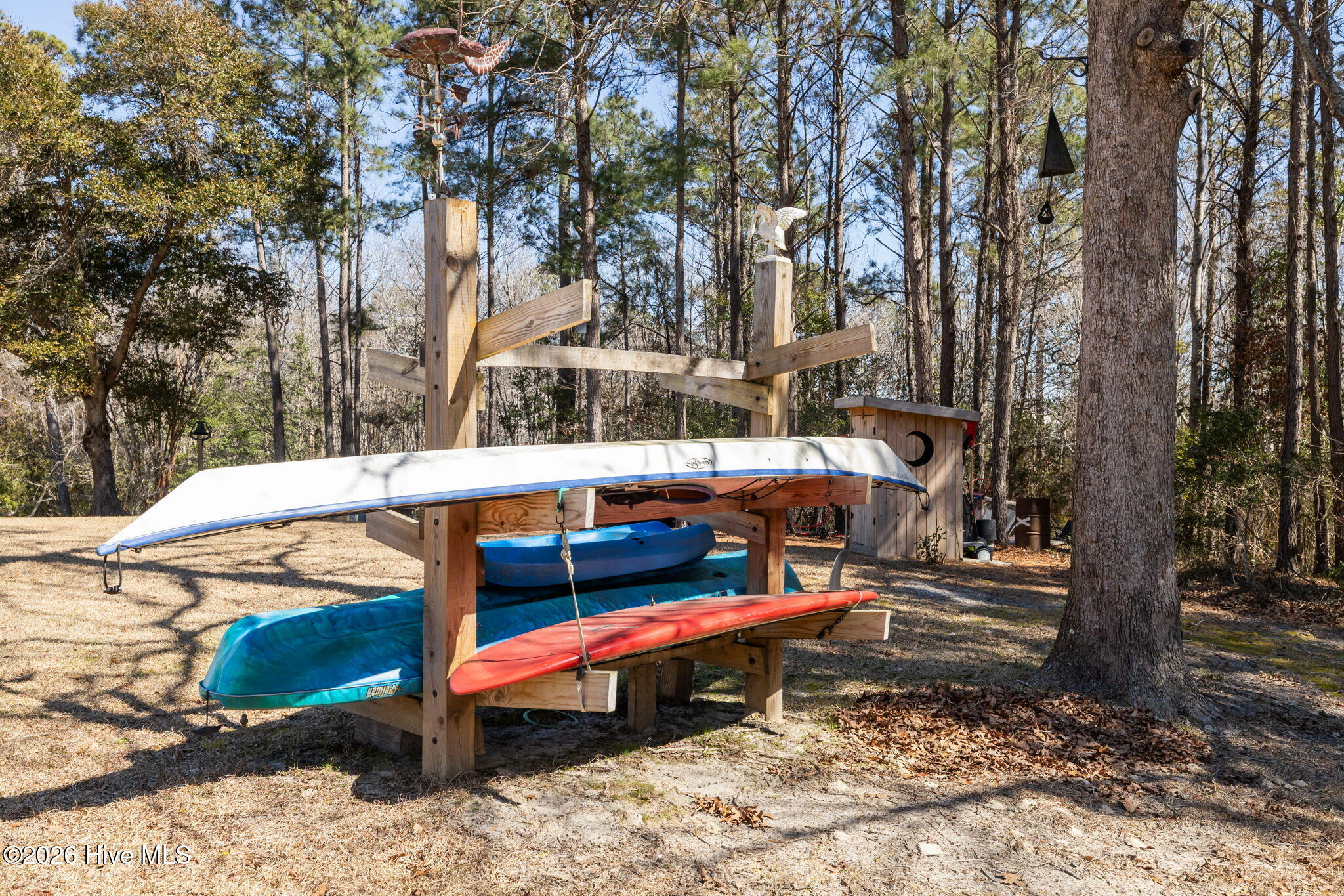 100558206 | Photo 37