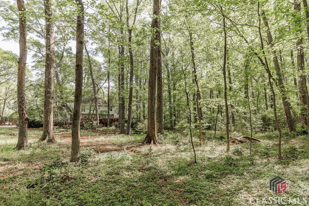 1031 Long Branch Run