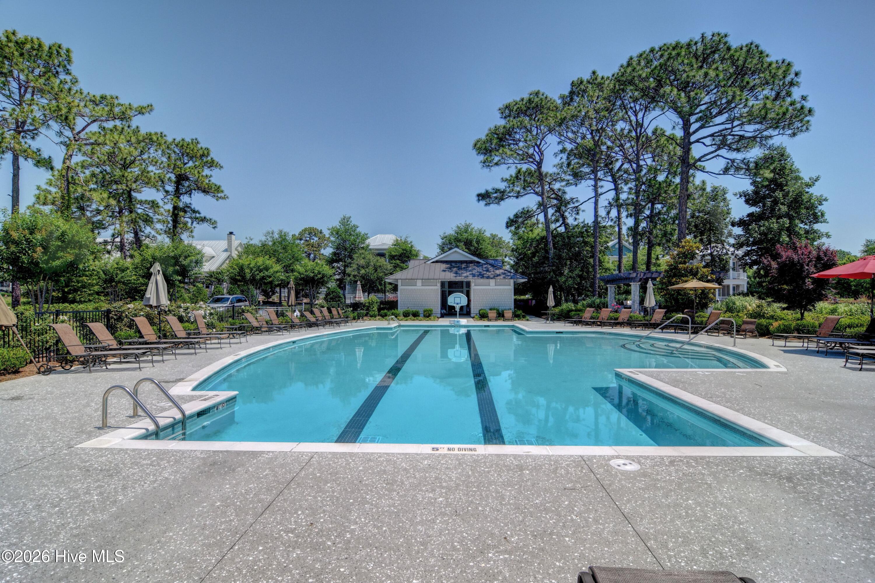 100549123 | Photo 39