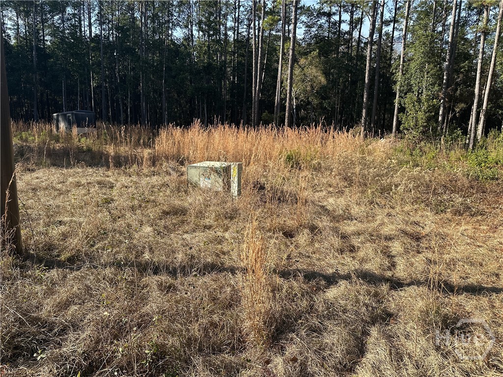 Homes for sale in Guyton, GA | 135 And 139 Greenbriar Dr, Guyton, GA 31312 | MLS# SA346291