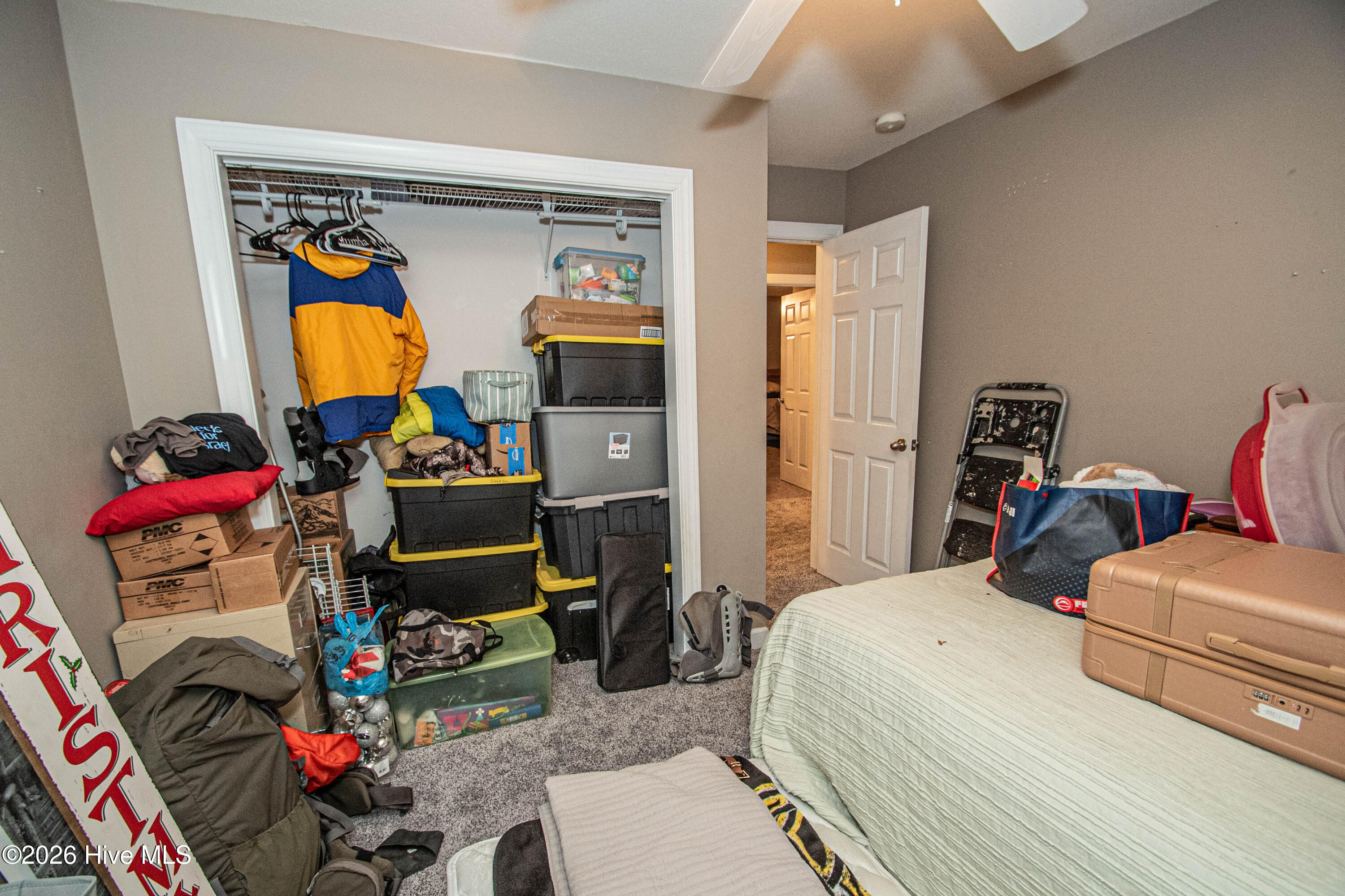 100553026 | Photo 57