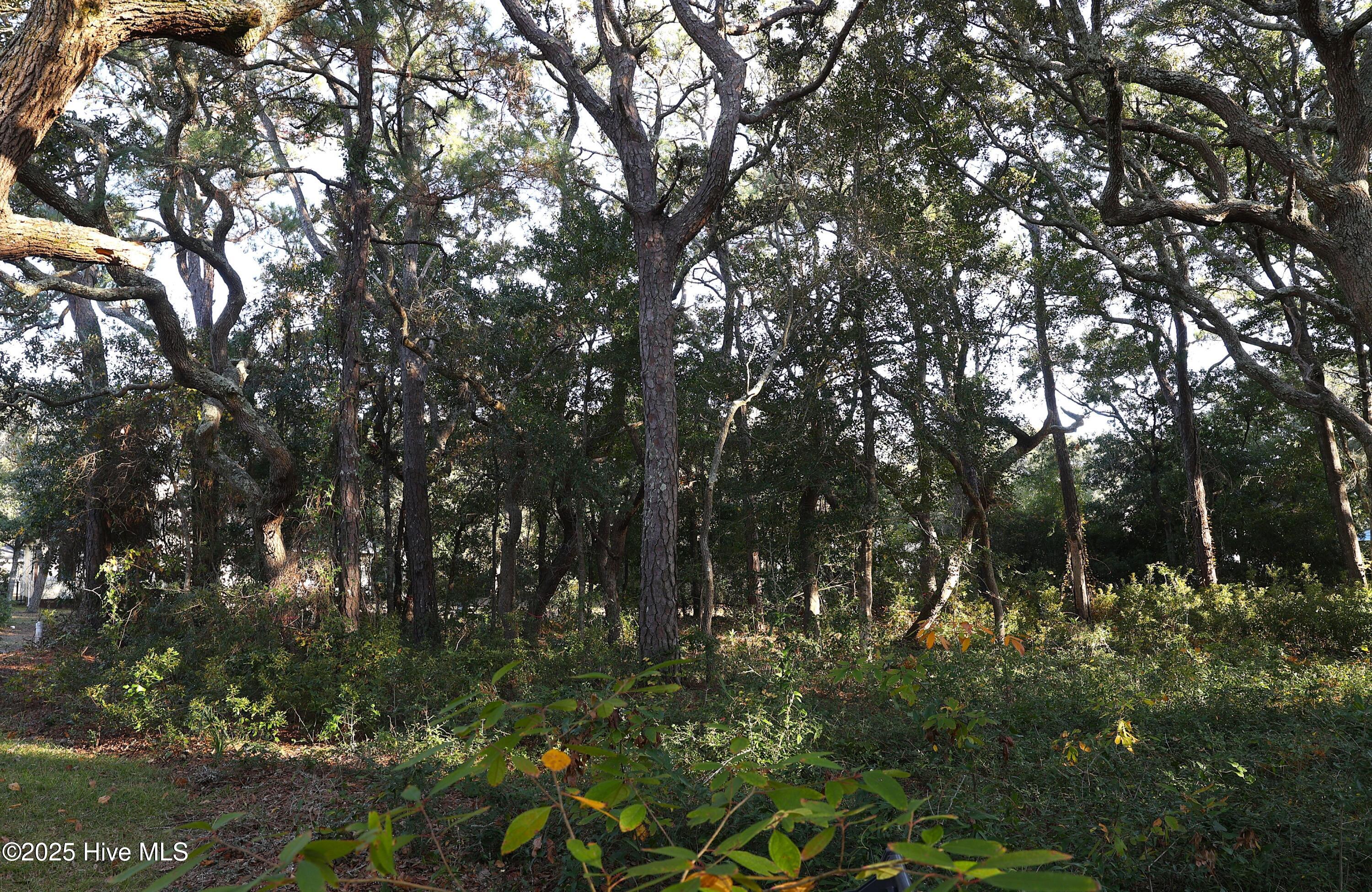 5217 Driftwood Lane, Morehead City, NC, 28557