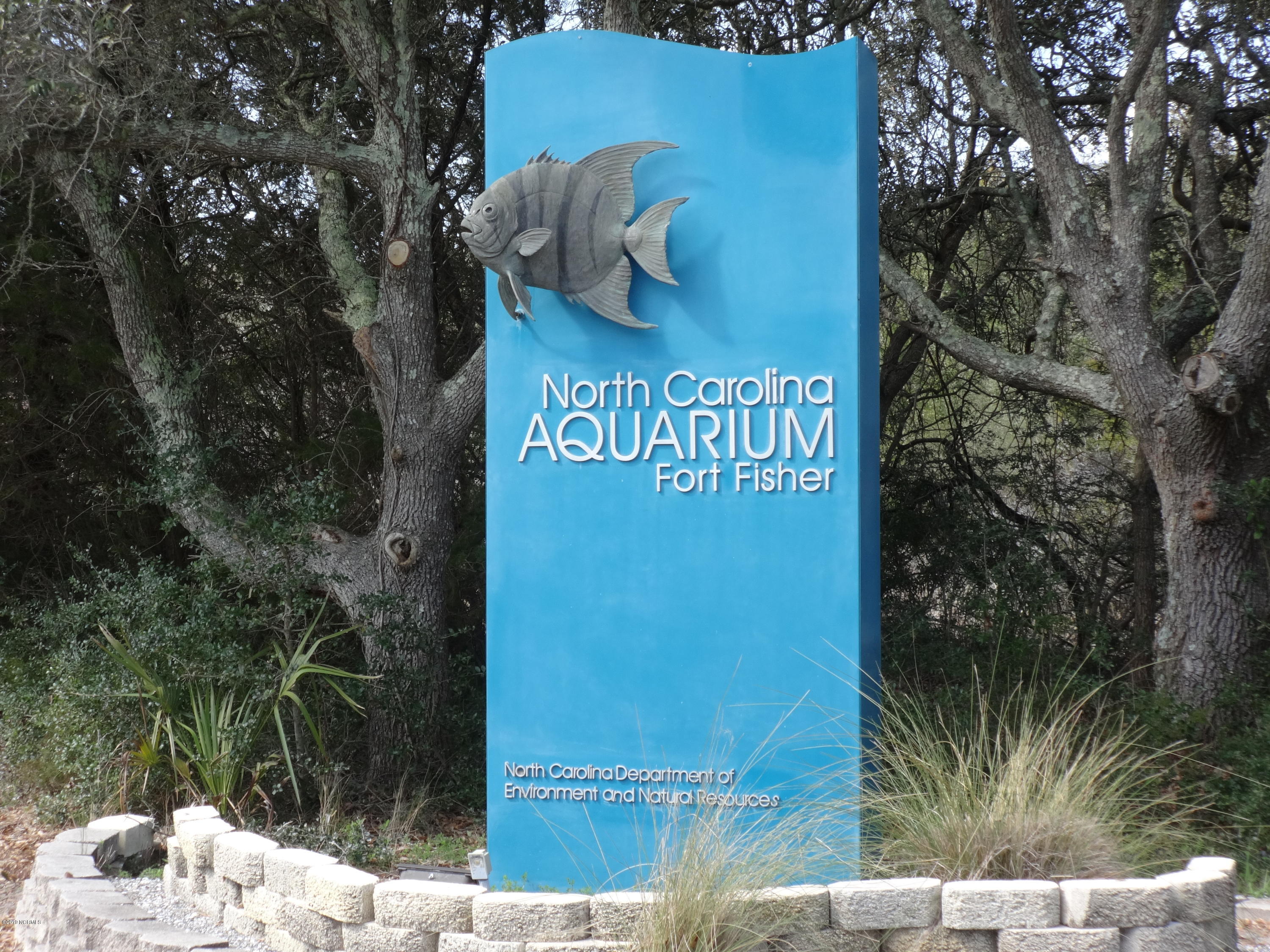 100560542 | Photo 20