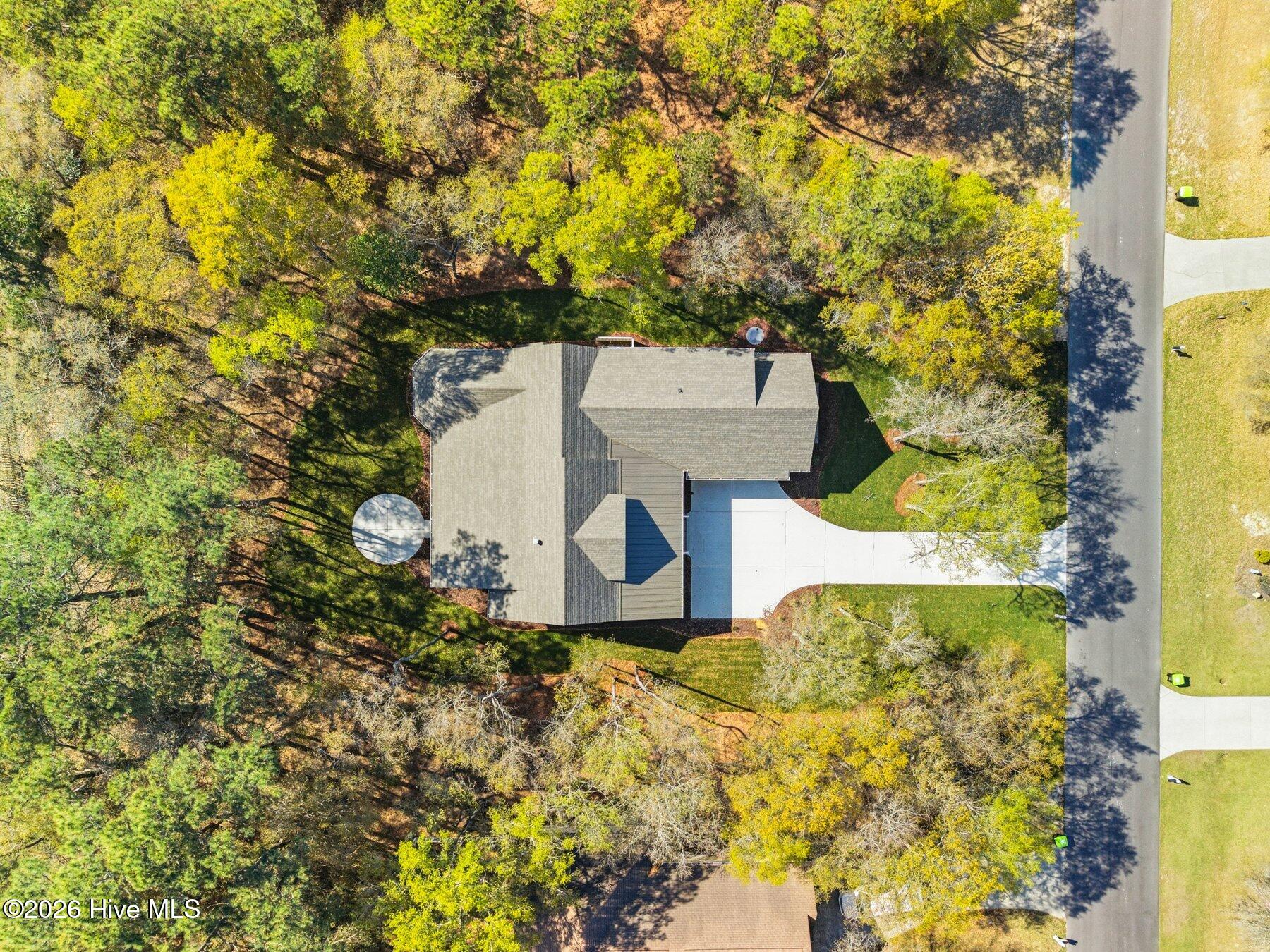 100541579 | Photo 34