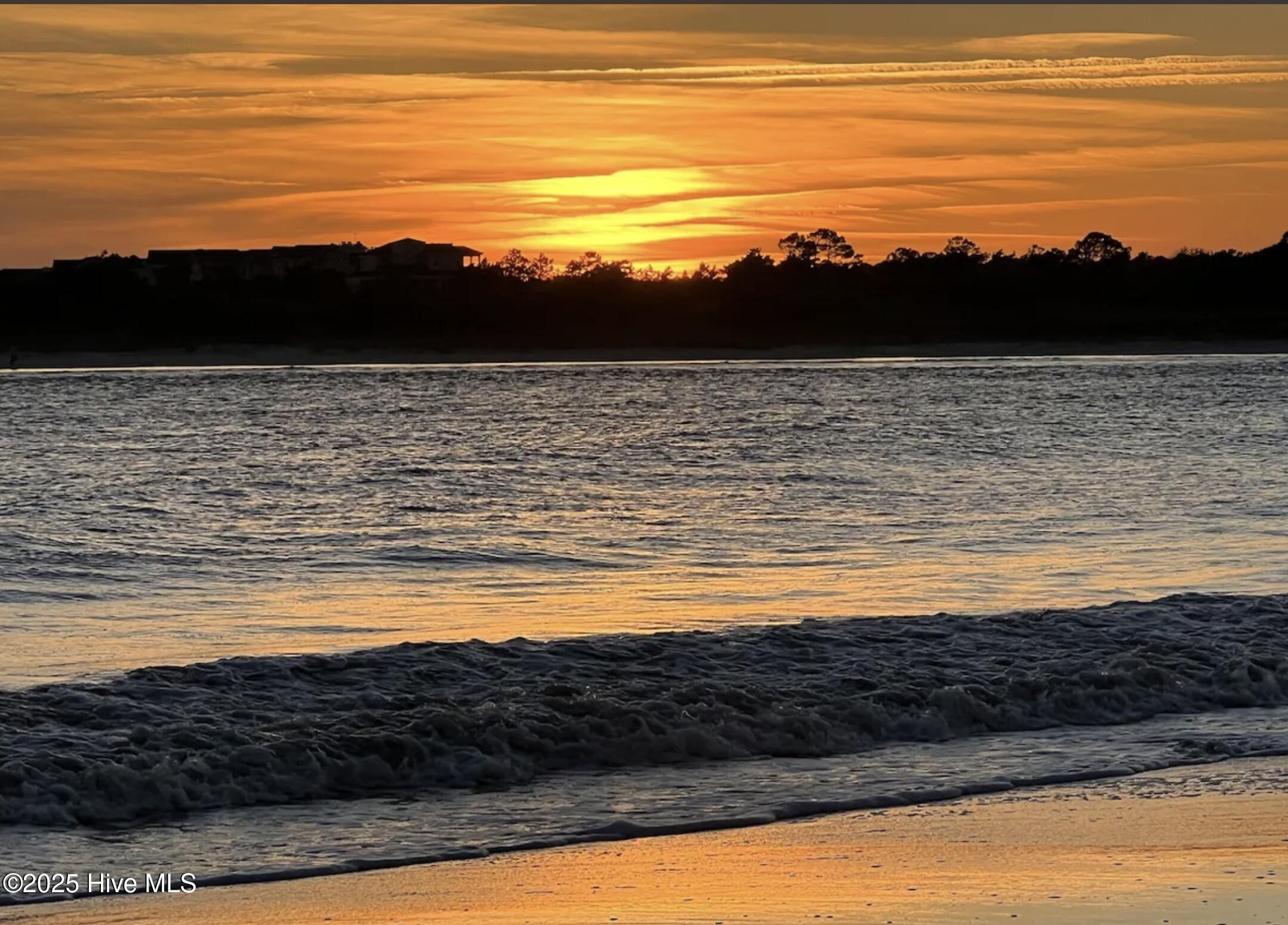 100537146 | Photo 59