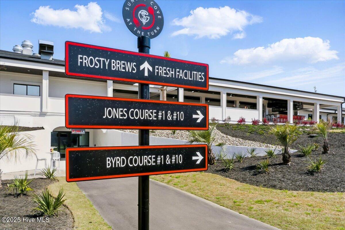 100495435 | Photo 15