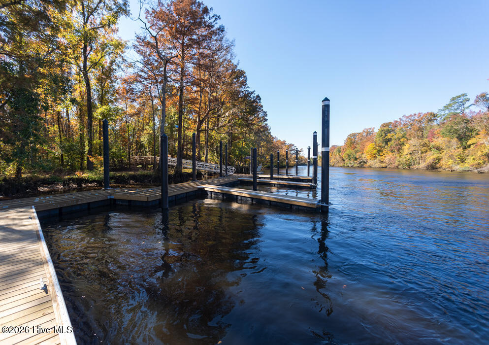 100549566 | Photo 40