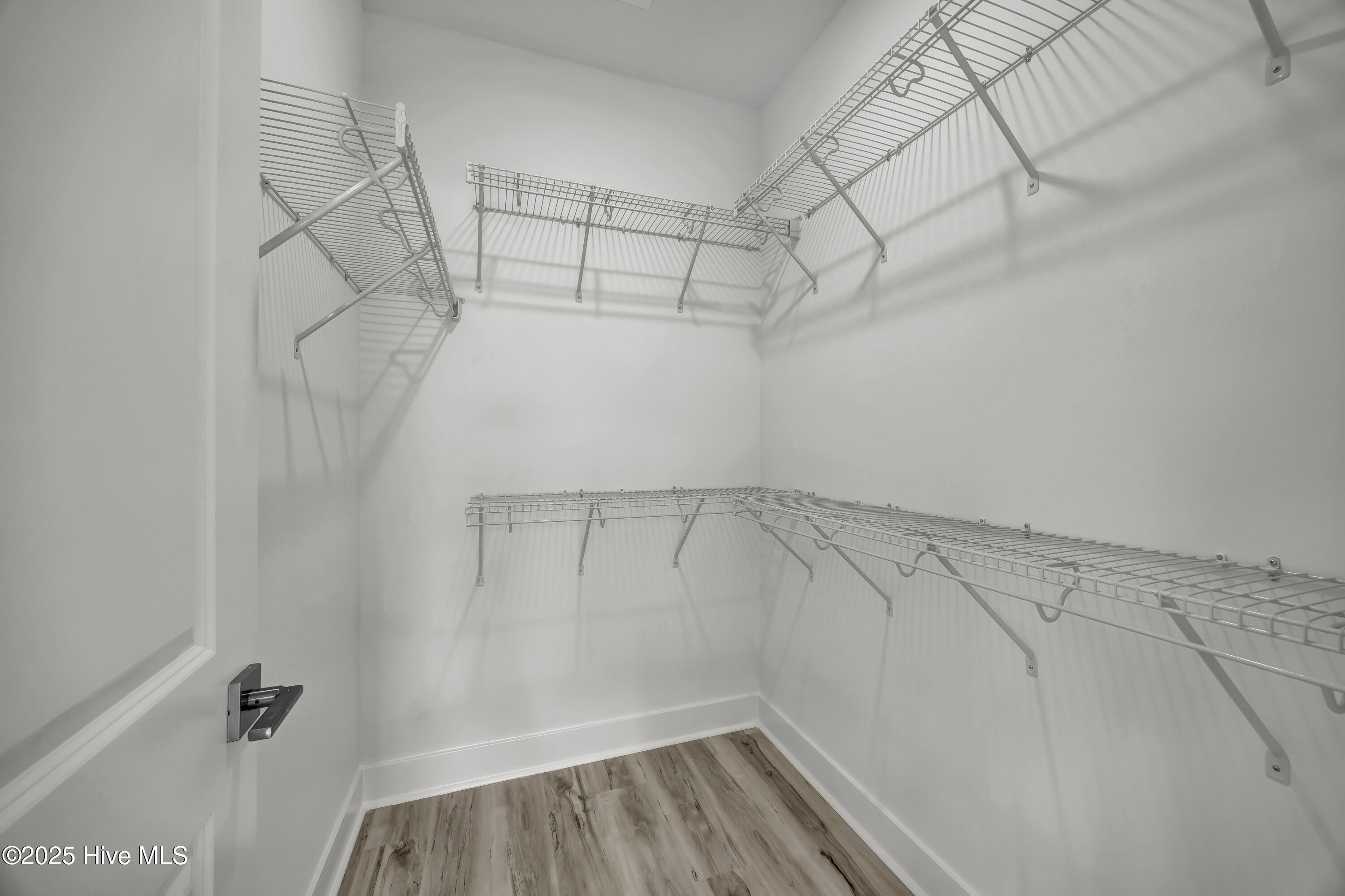 100509344 | Photo 20