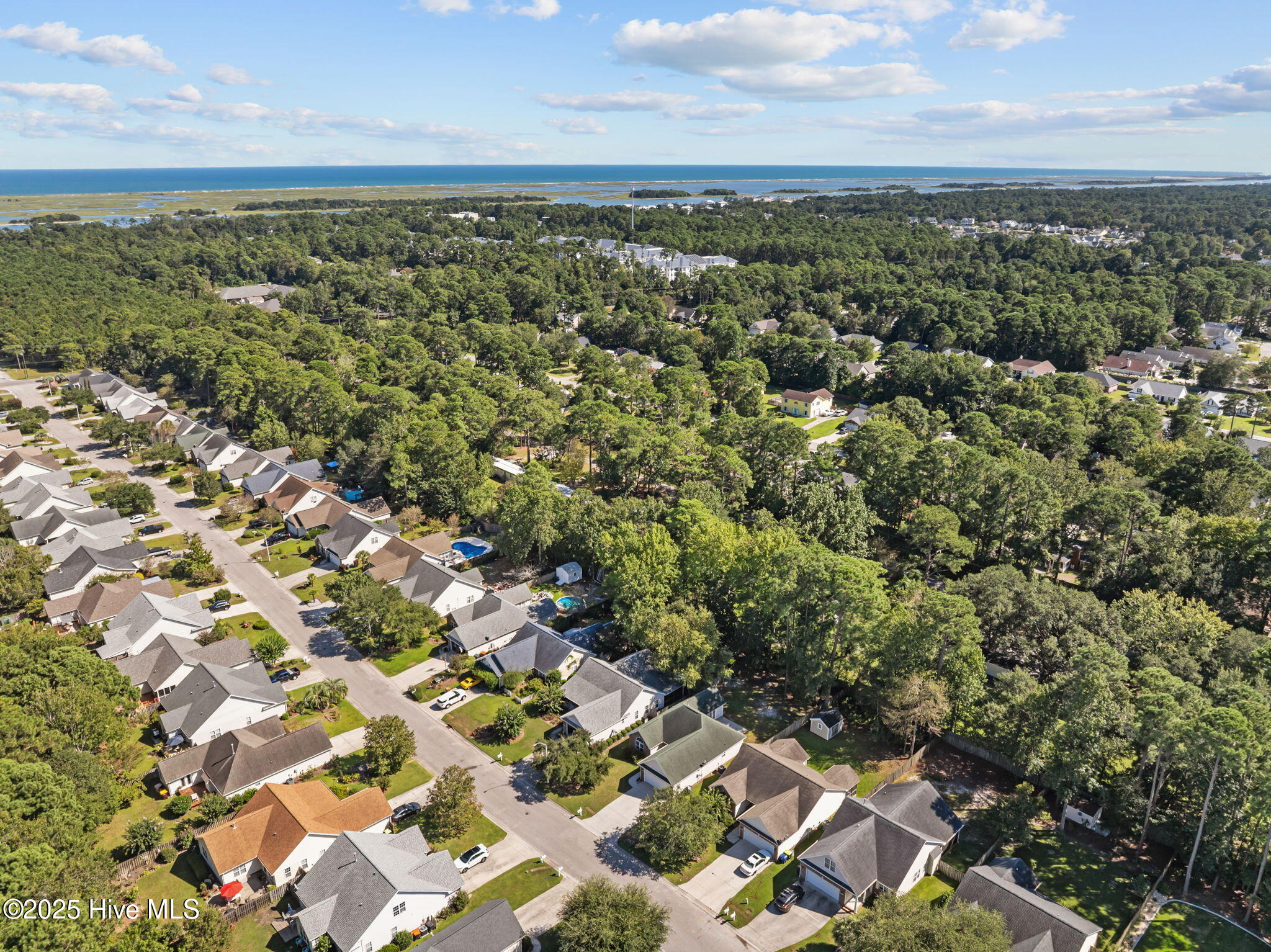 100529967 | Photo 38