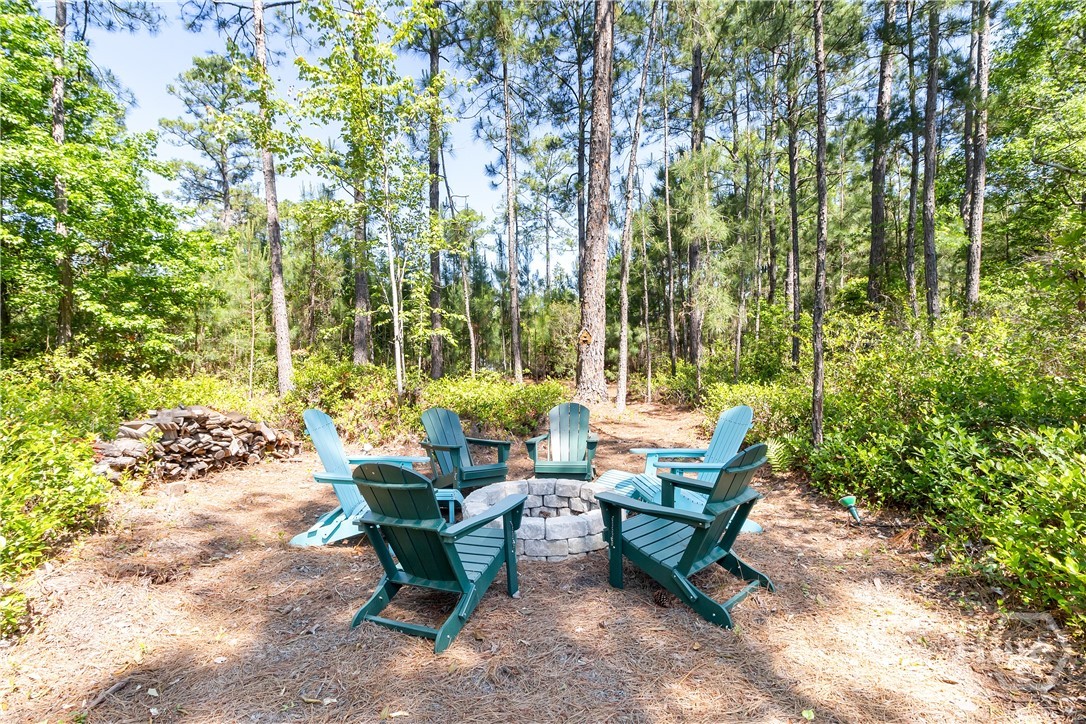 Backyard - Firepit