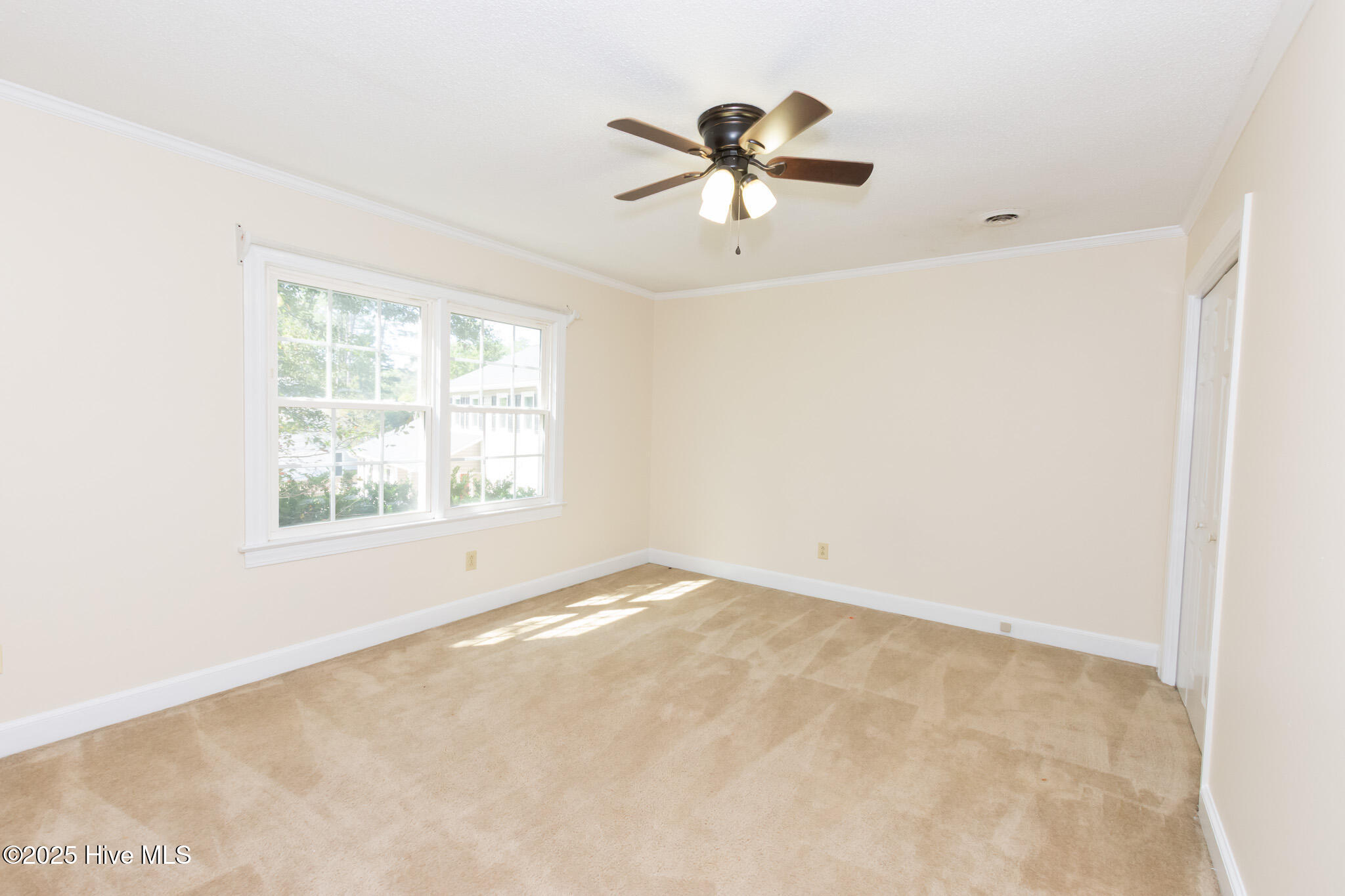 100506266 | Photo 55