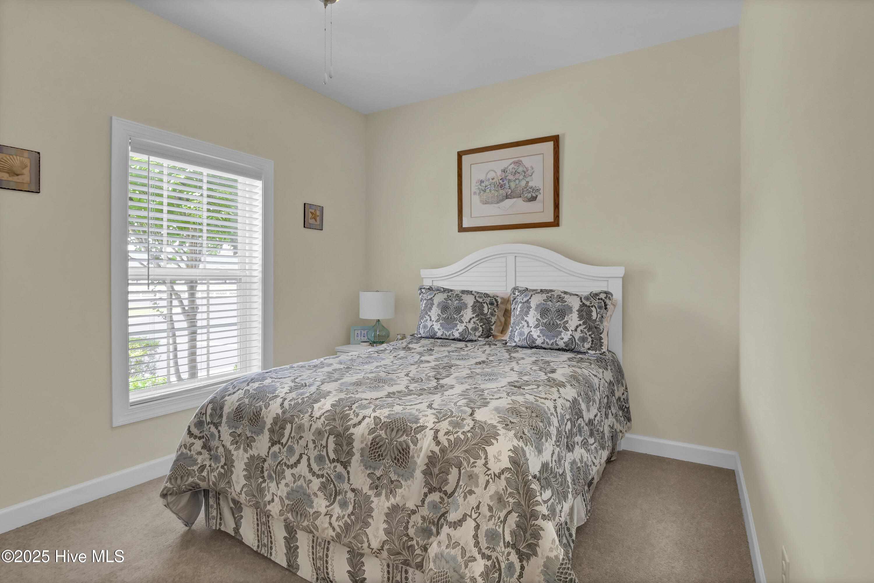 100515209 | Photo 21