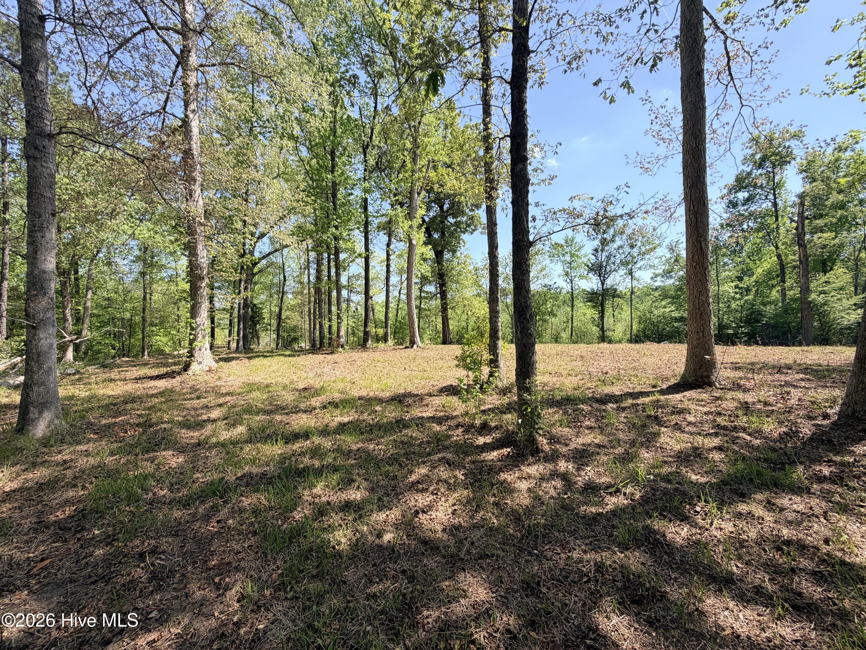 100568145 | Photo 12