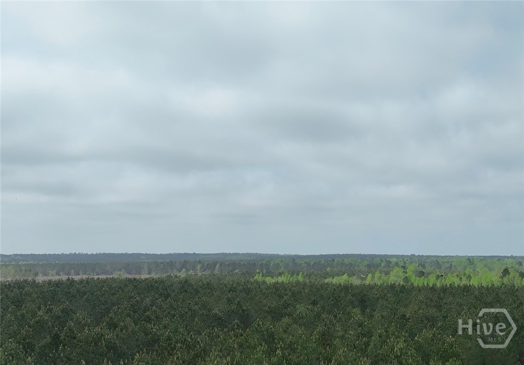 Homes for sale in Midville, GA | 02 Saint Galilee Rd, Midville, GA 30401 | MLS# SA350354