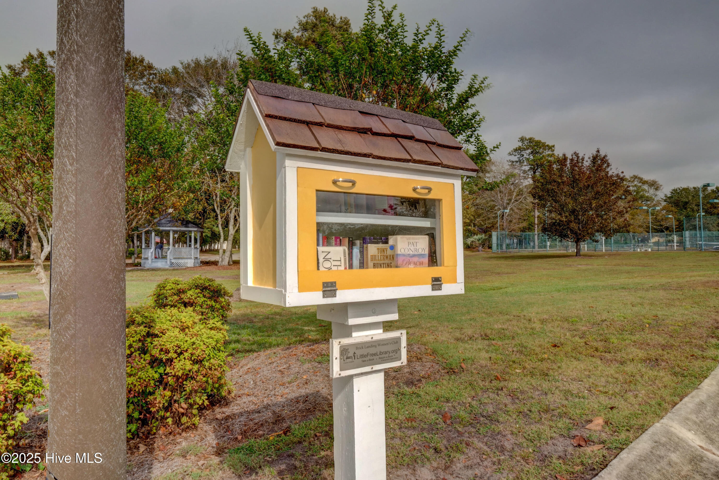 100531502 | Photo 44