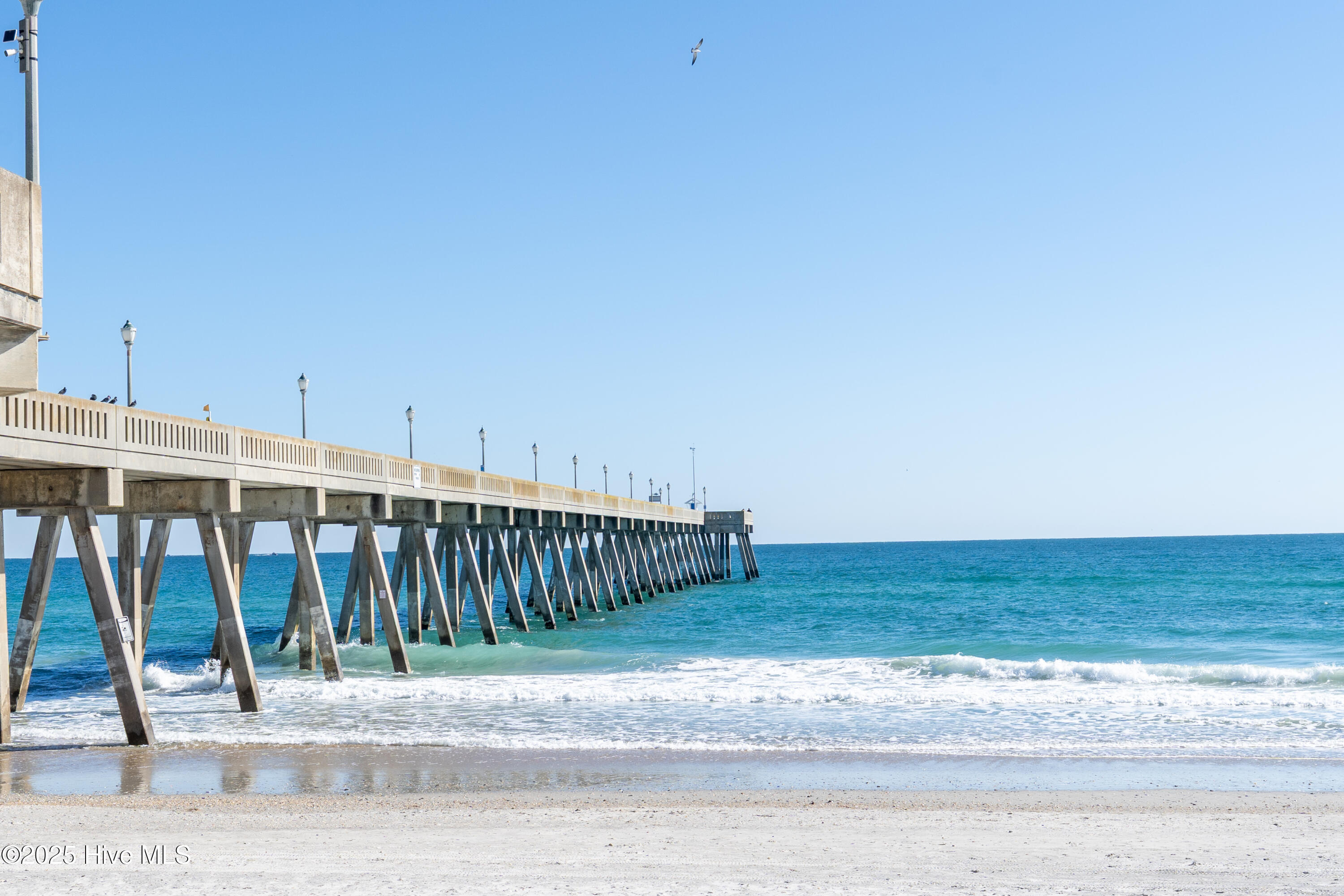 100541369 | Photo 53