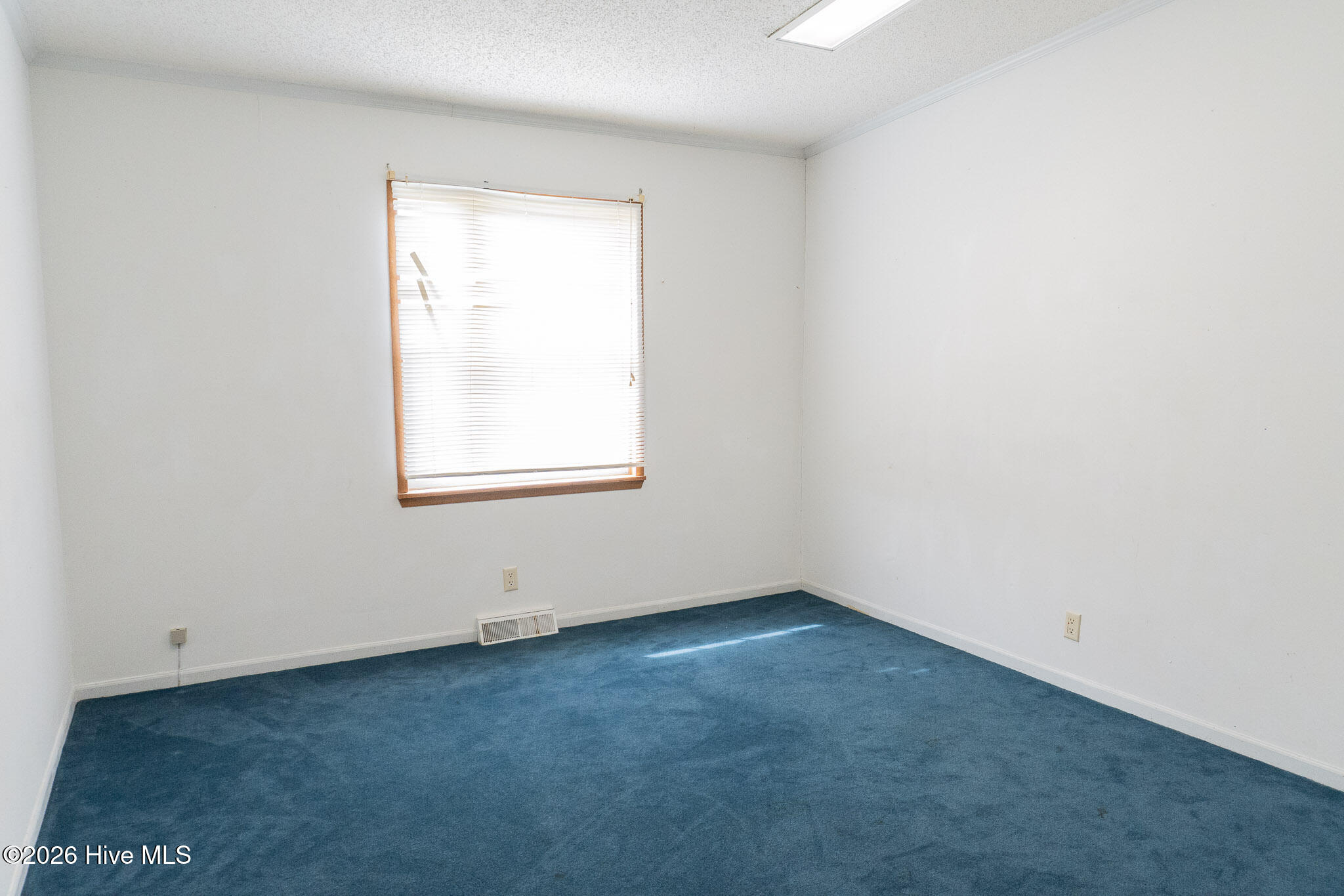 100561014 | Photo 10