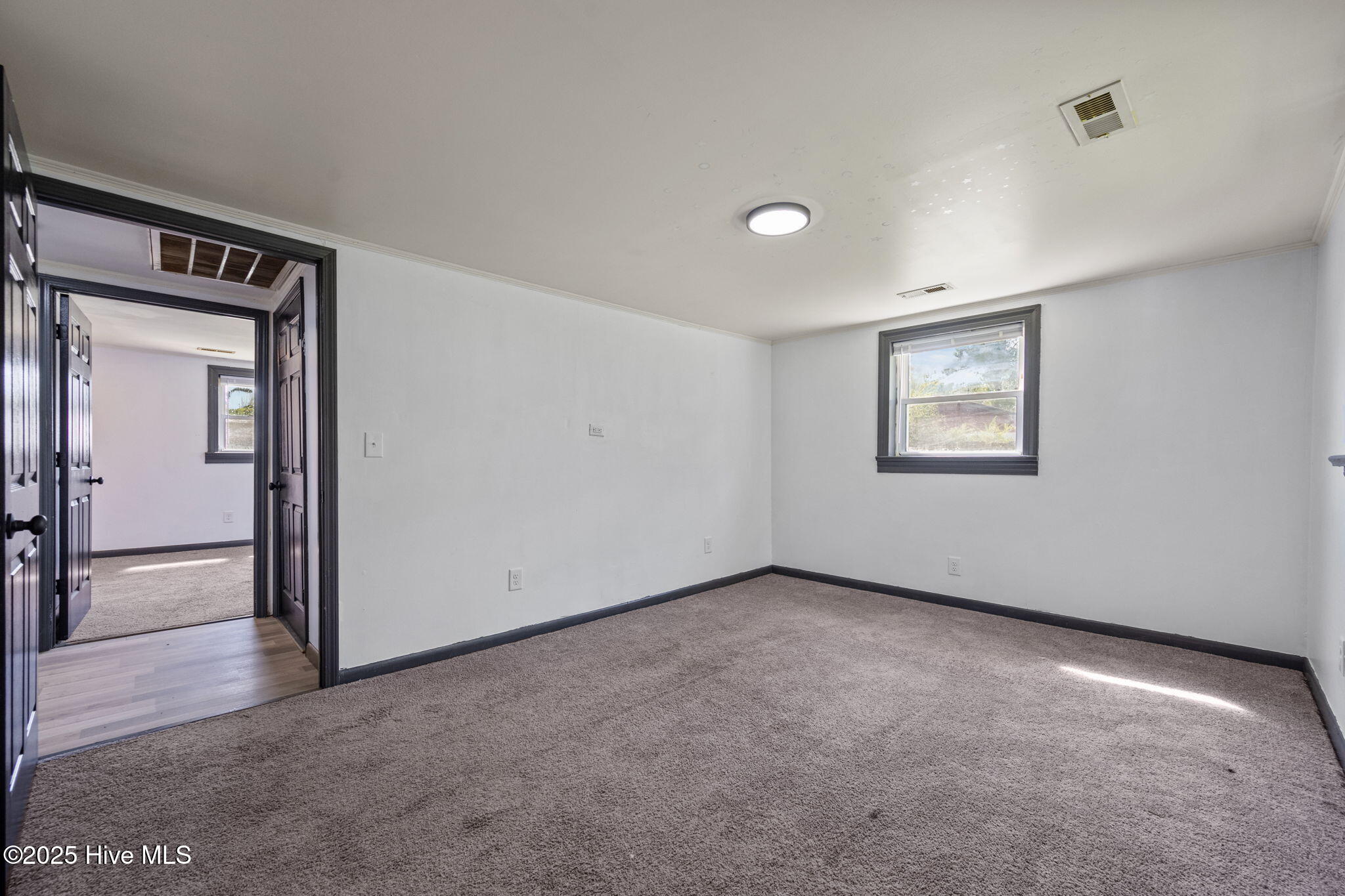 100534081 | Photo 21