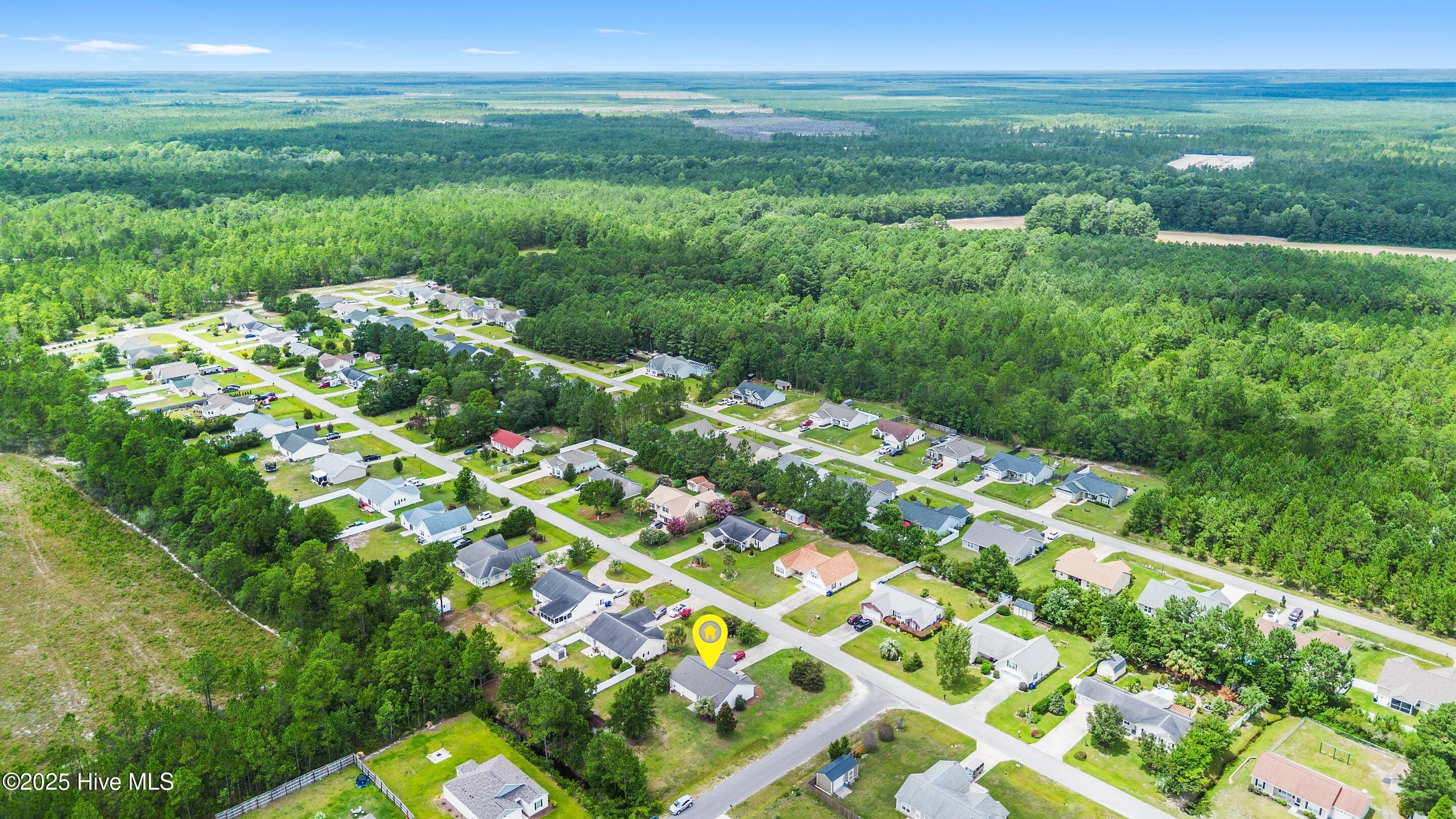 100519880 | Photo 31