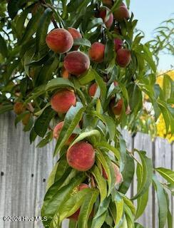 100551352 | Photo 51