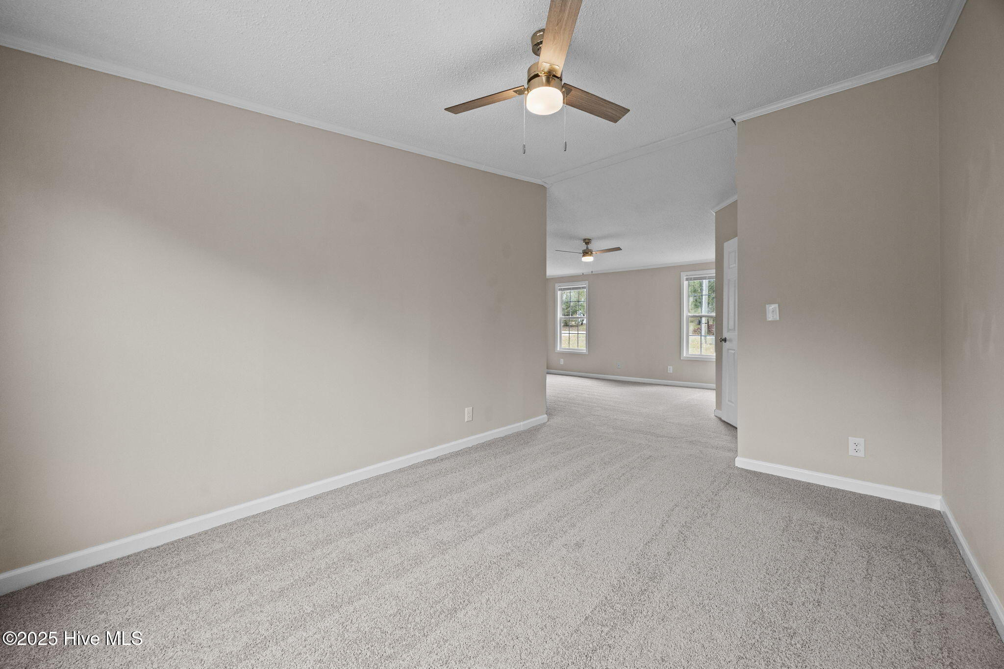 100538807 | Photo 11