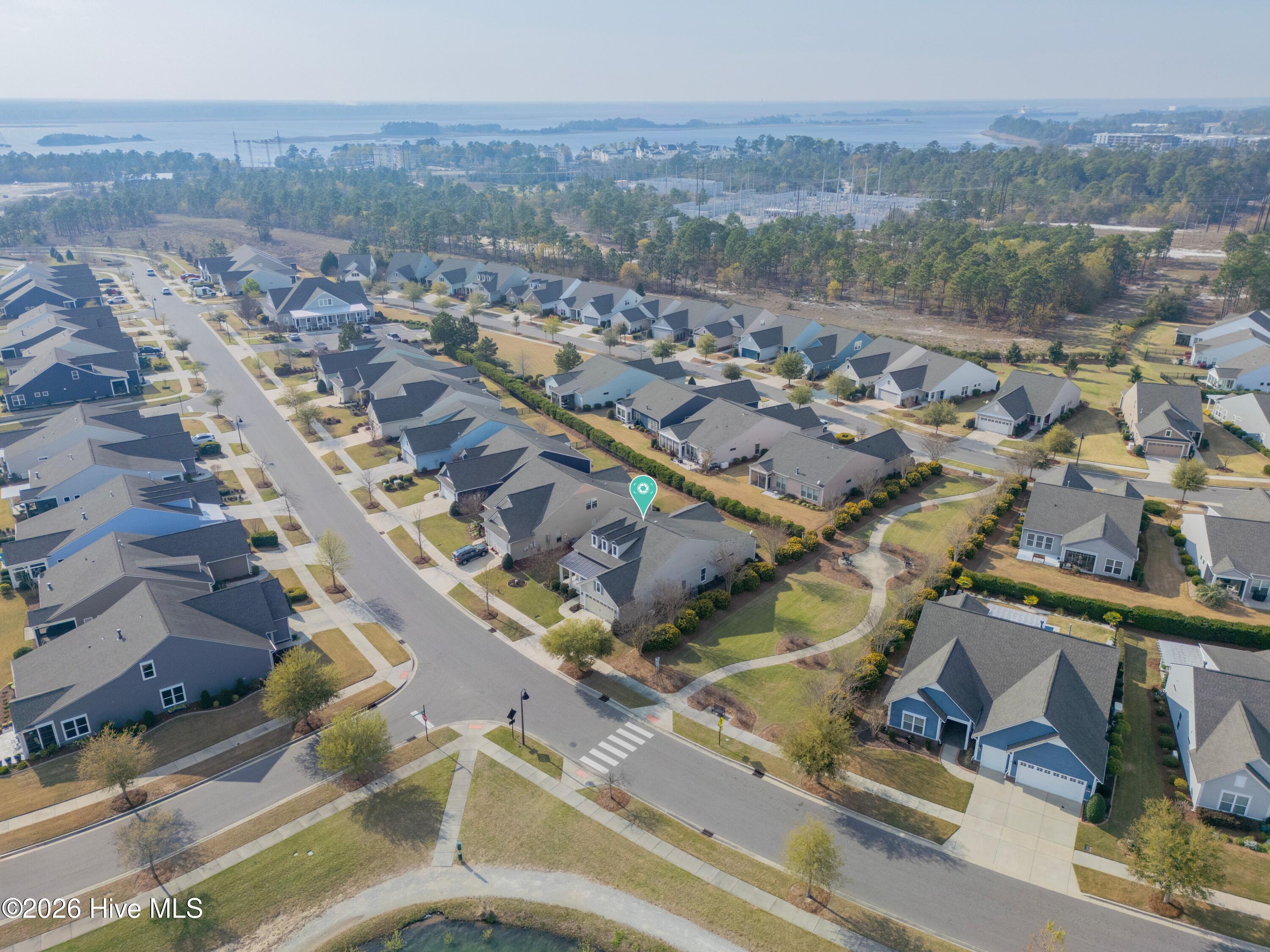 100562061 | Photo 32