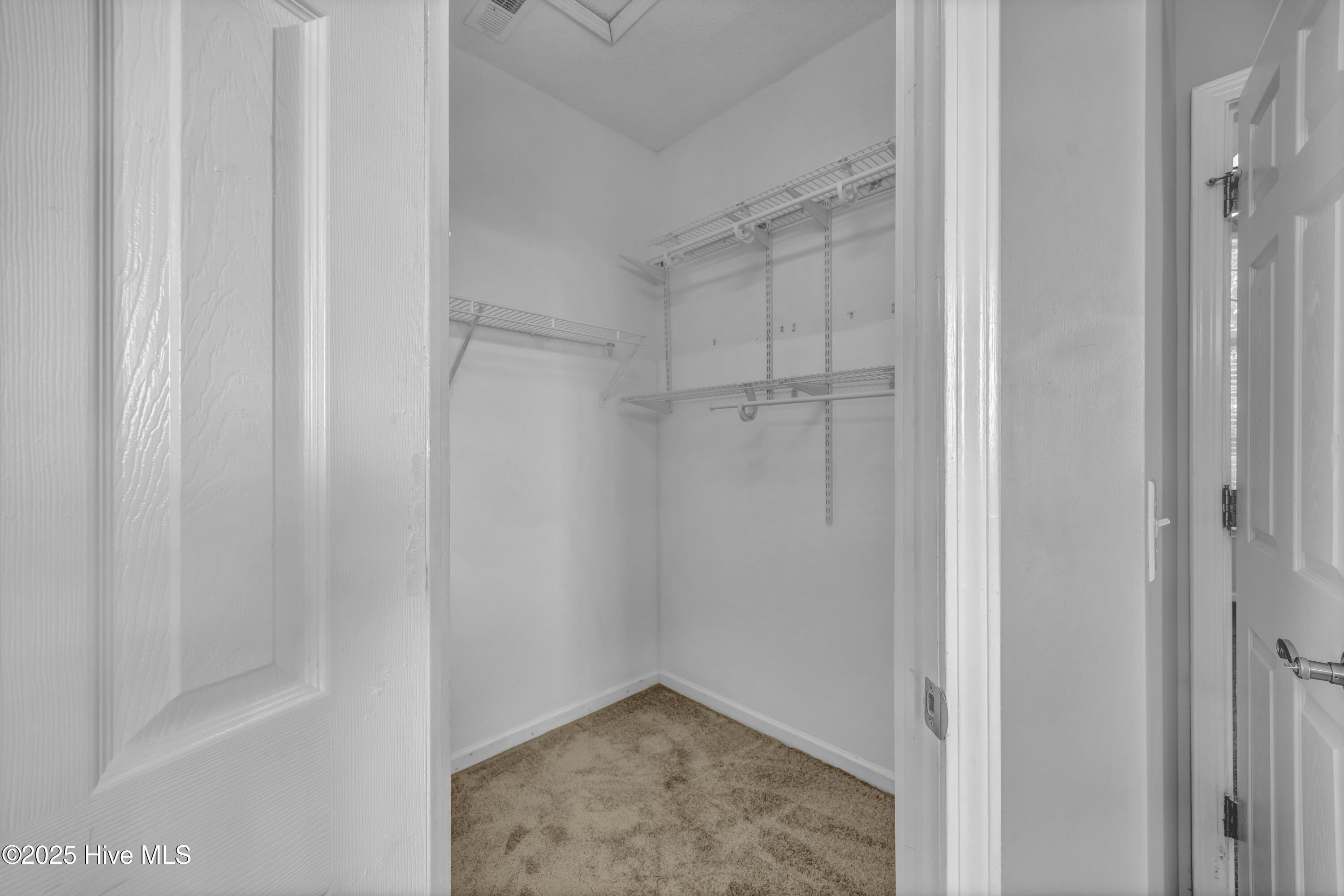 100540259 | Photo 20