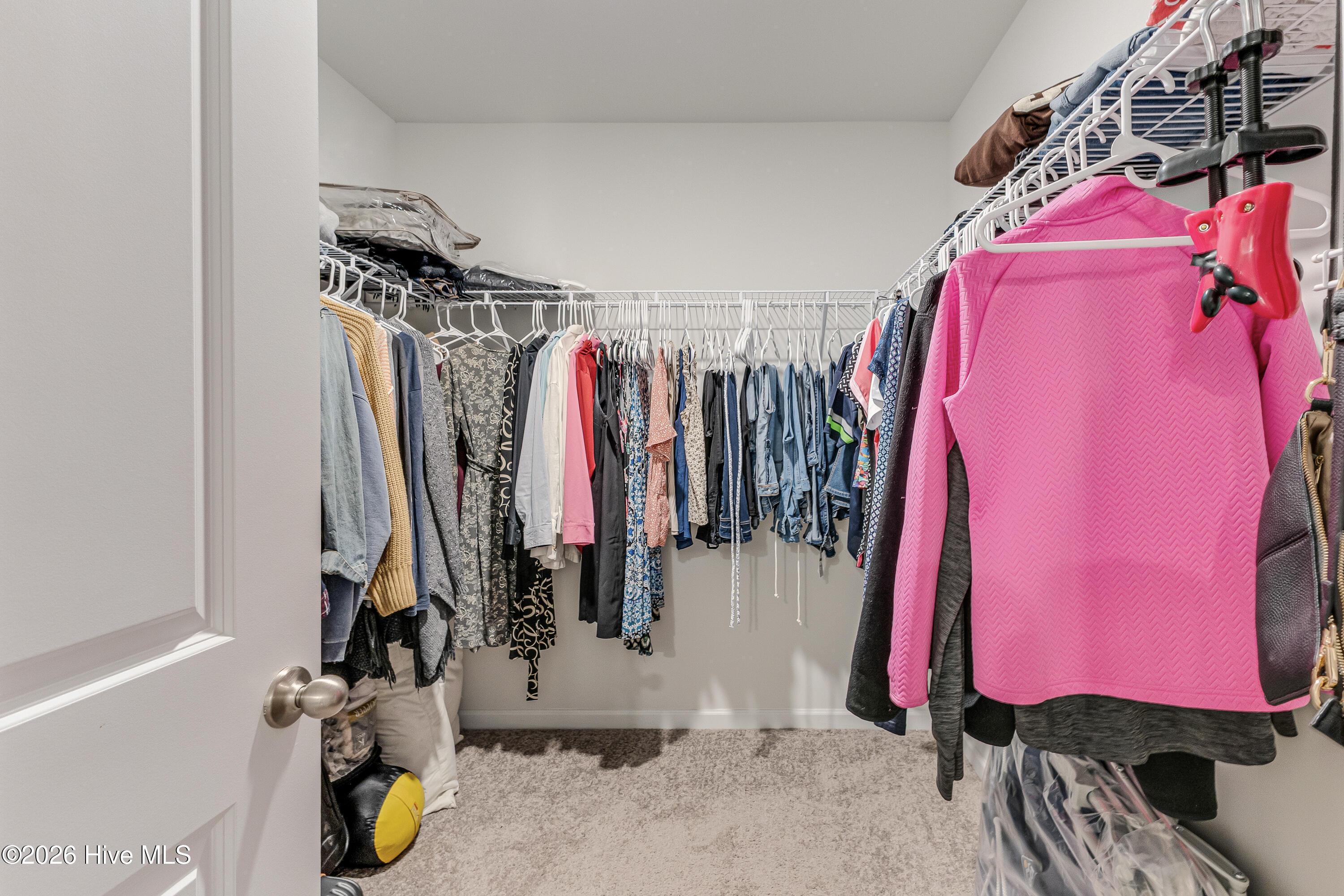 100559432 | Photo 32