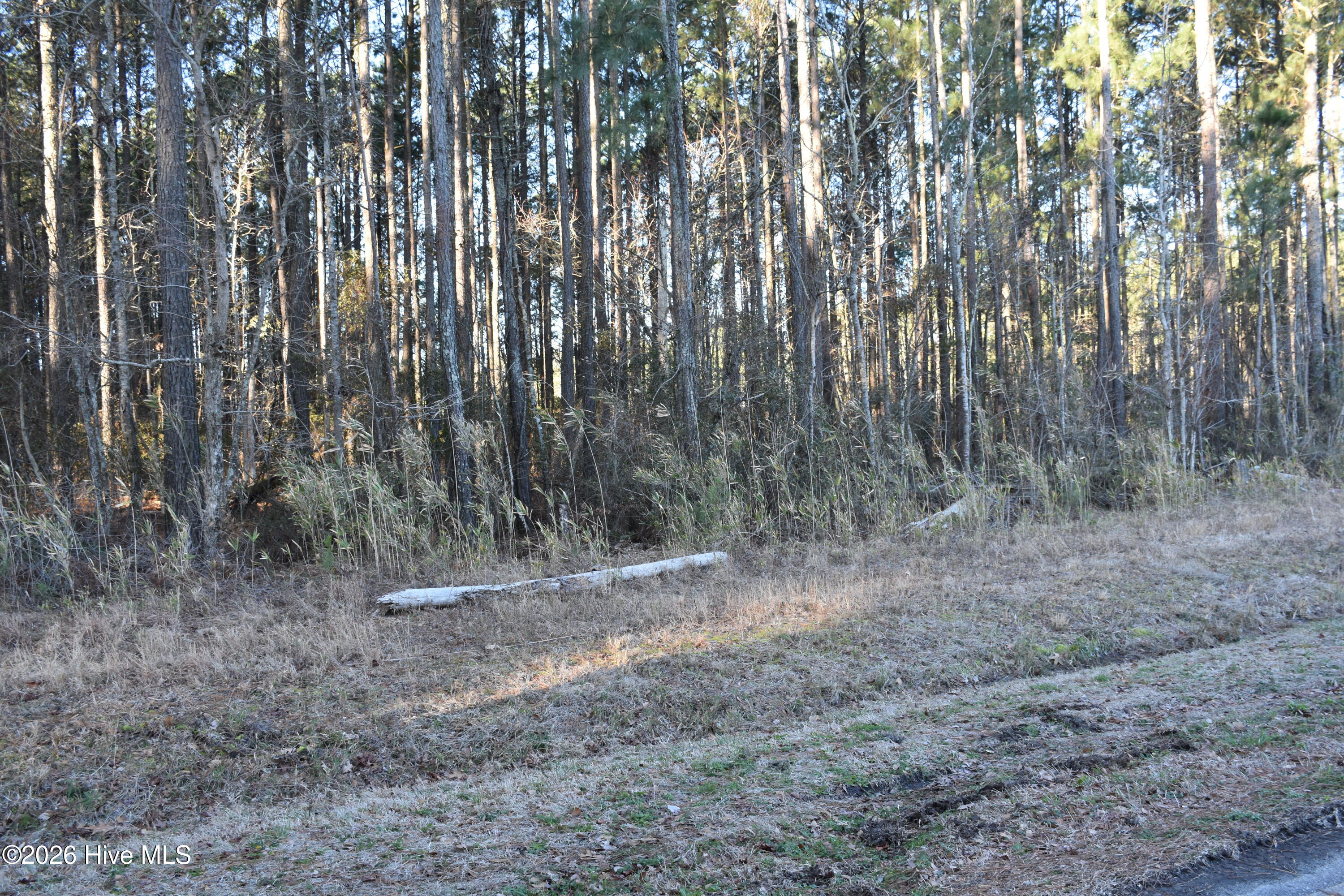 Homes for sale in Bath, NC | 97 Mcgowan Rd, Bath, NC 27808 | MLS# 100556062